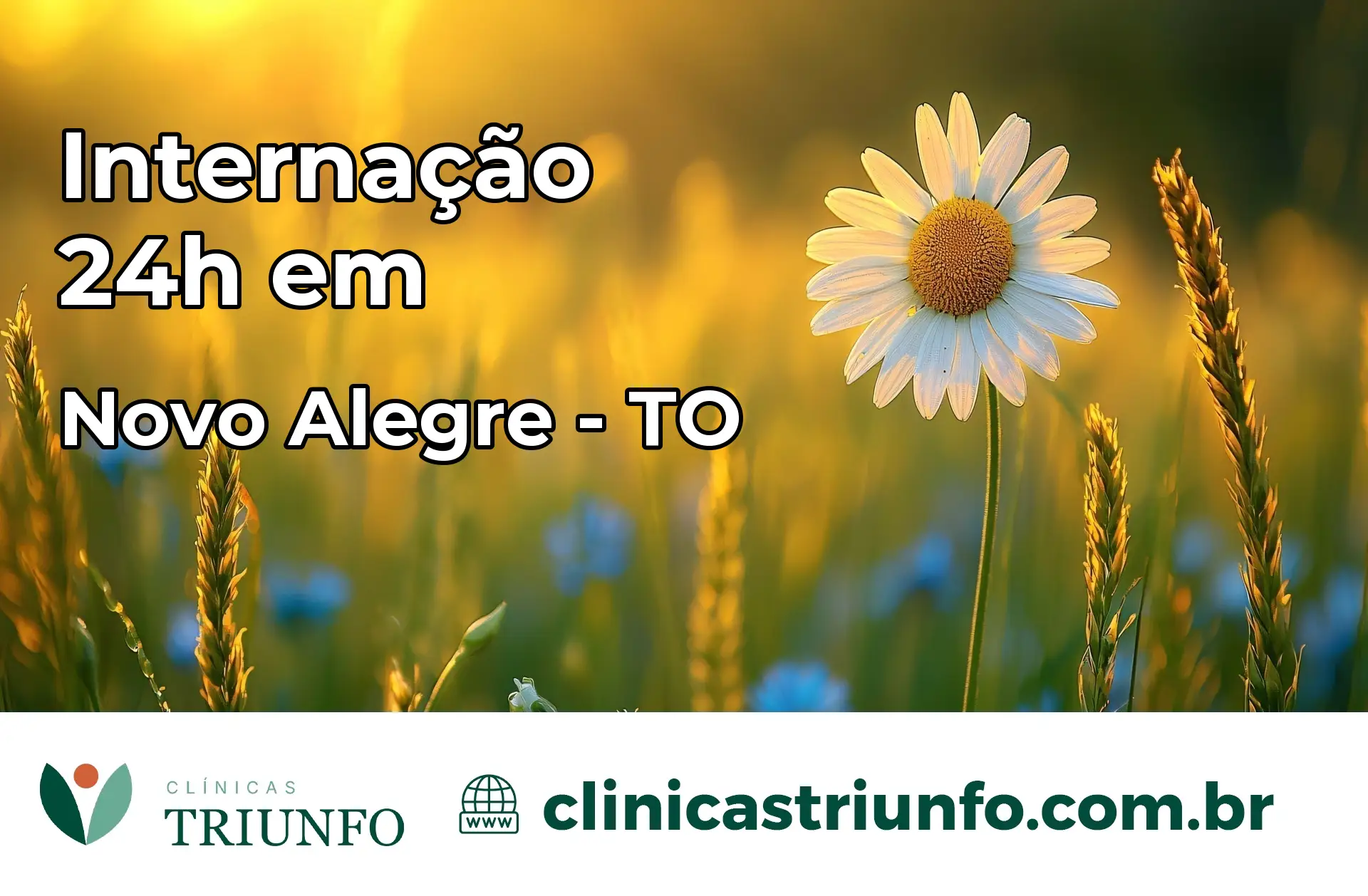 Internação 24 horas em Novo Alegre – TO