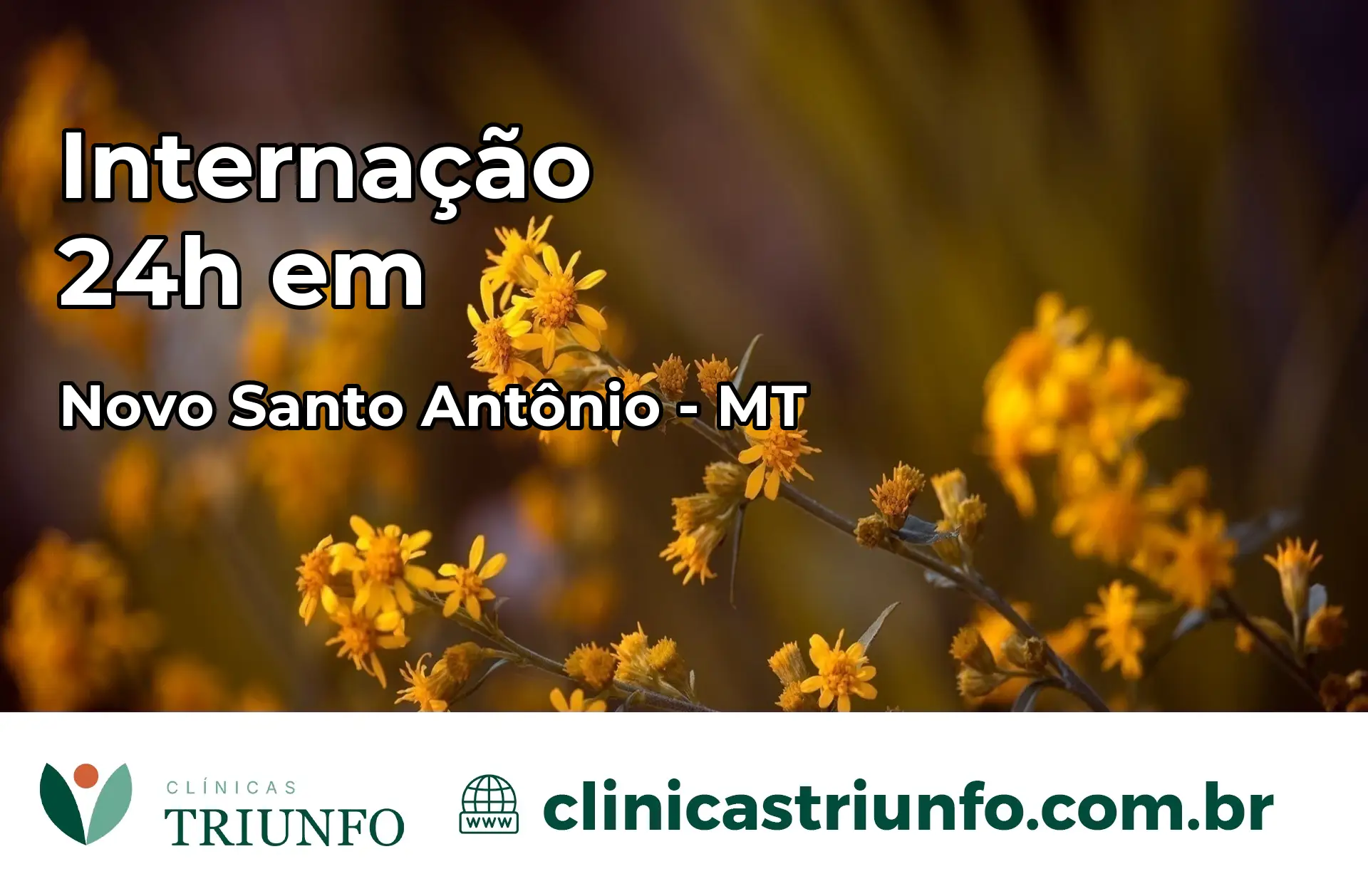 Internação 24 horas em Novo Santo Antônio – MT