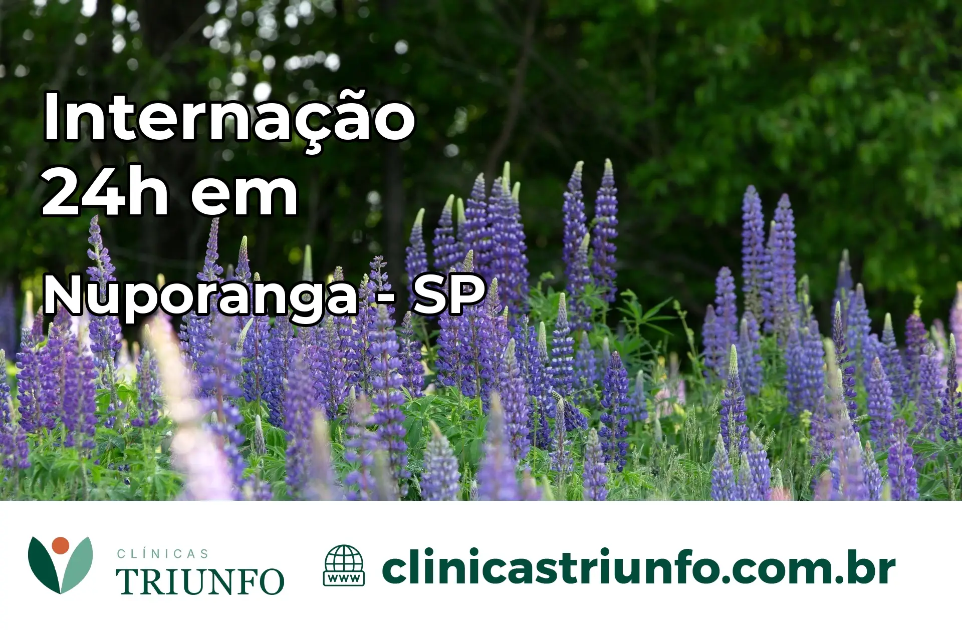 Internação 24 horas em Nuporanga – SP