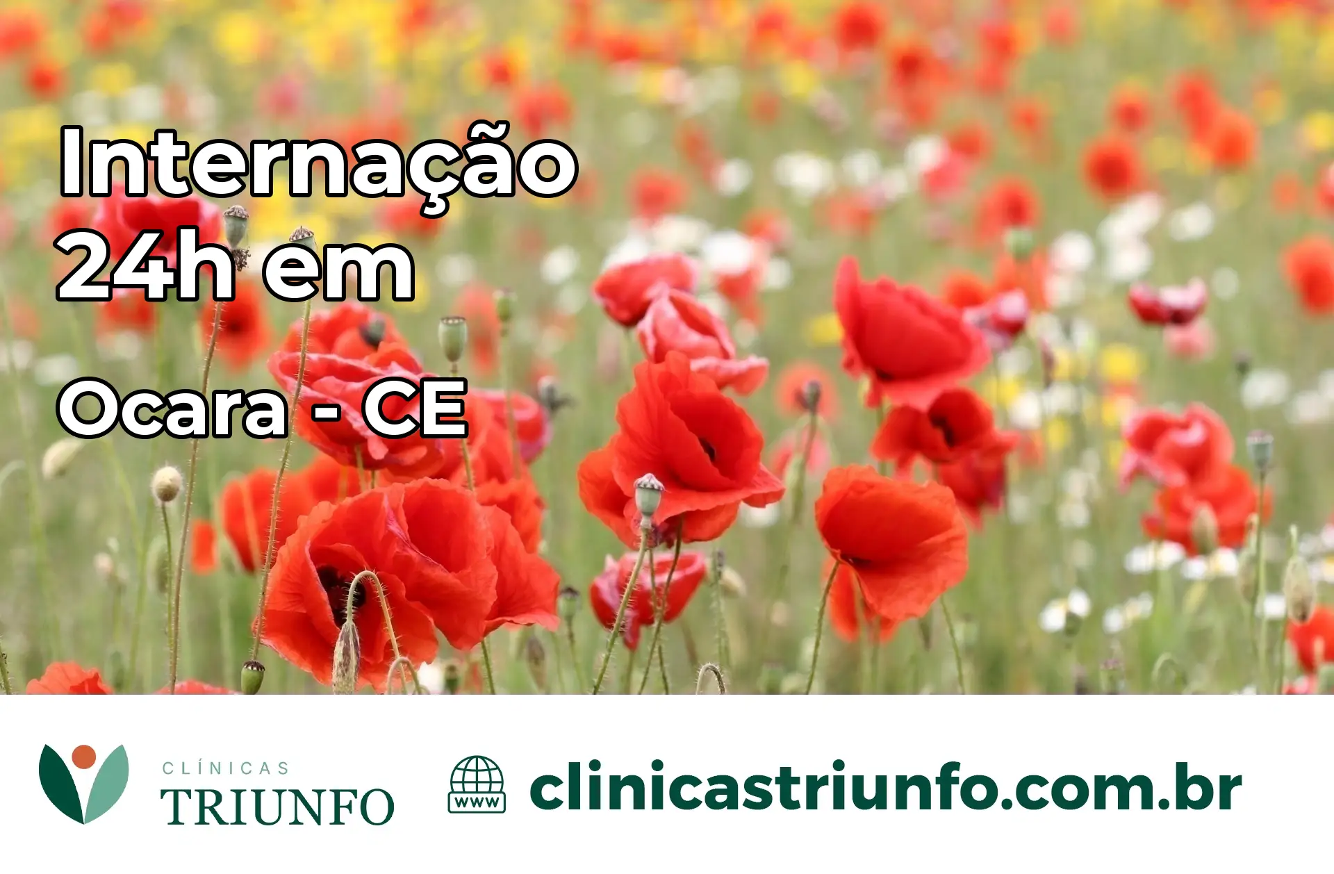 Internação 24 horas em Ocara – CE