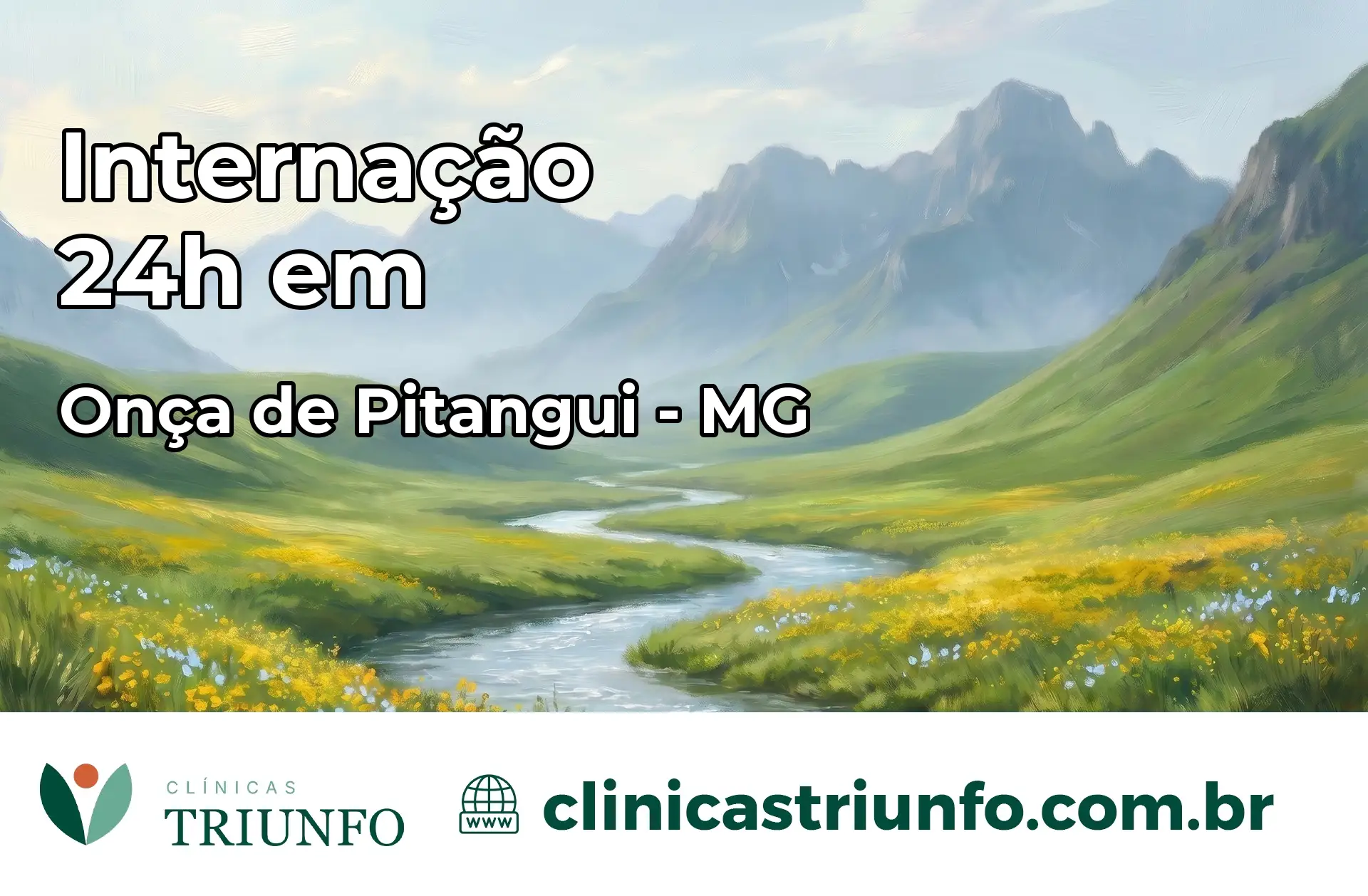 Internação 24 horas em Onça de Pitangui – MG