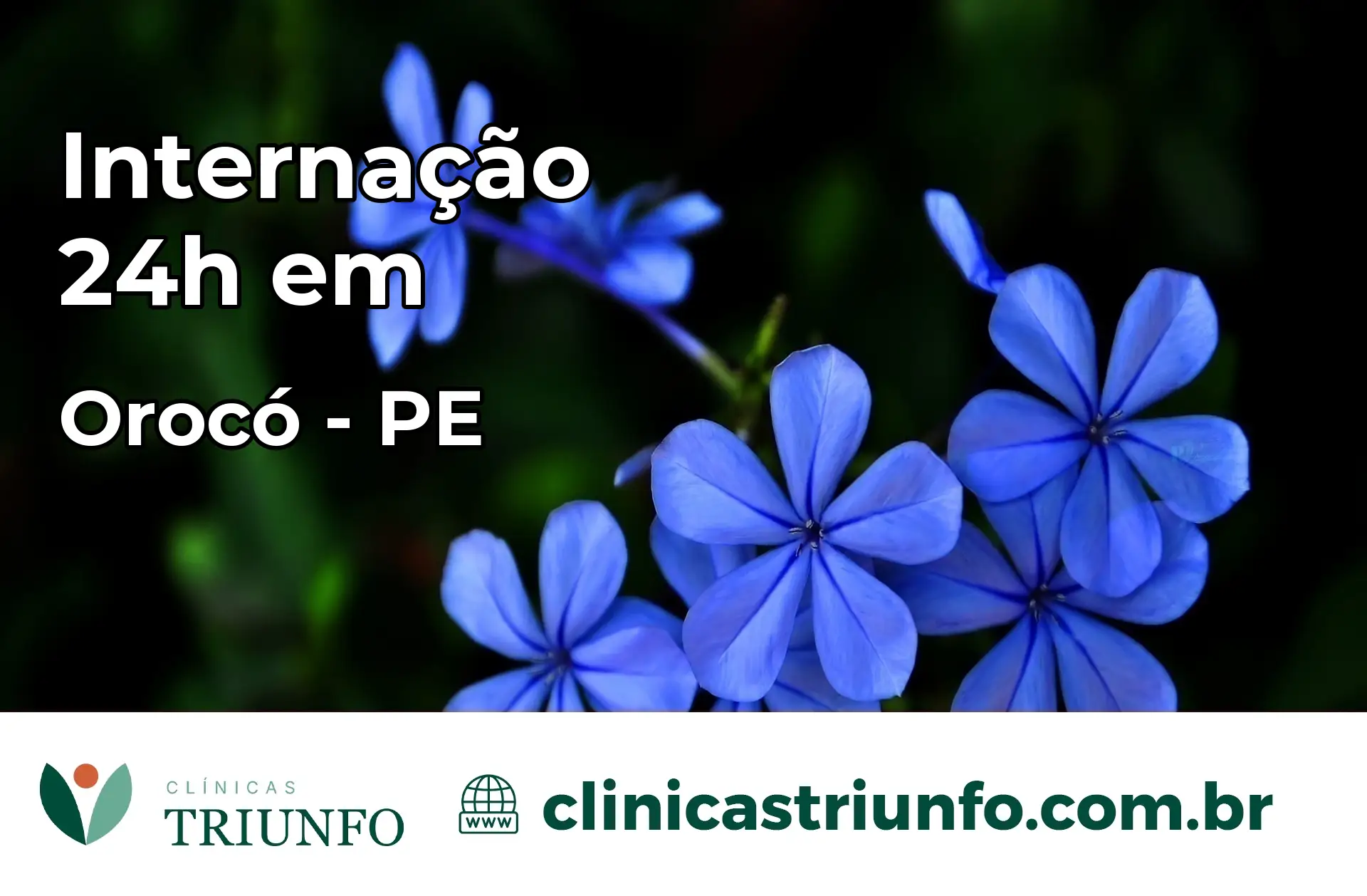 Internação 24 horas em Orocó – PE