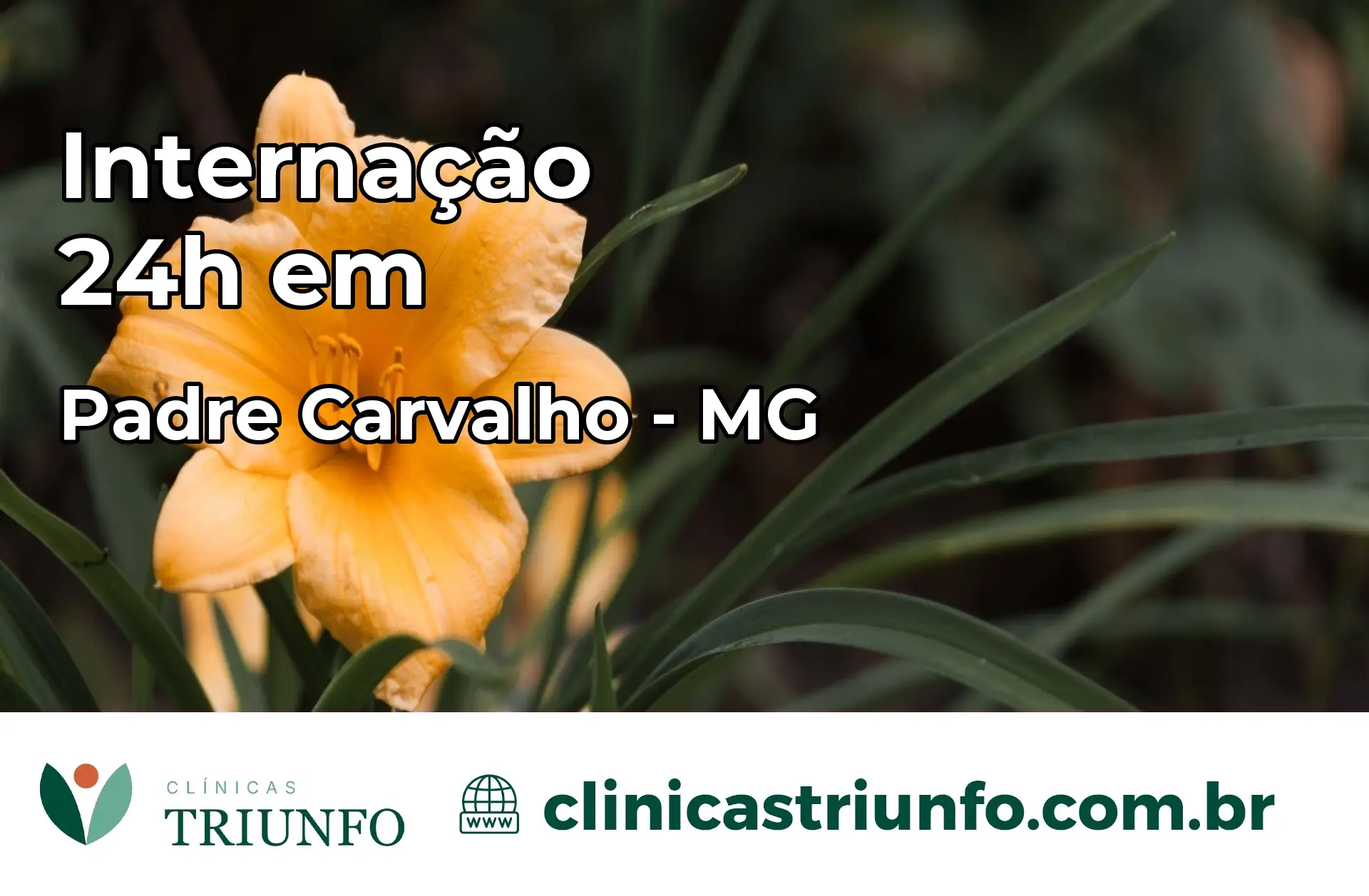 Internação 24 horas em Padre Carvalho – MG