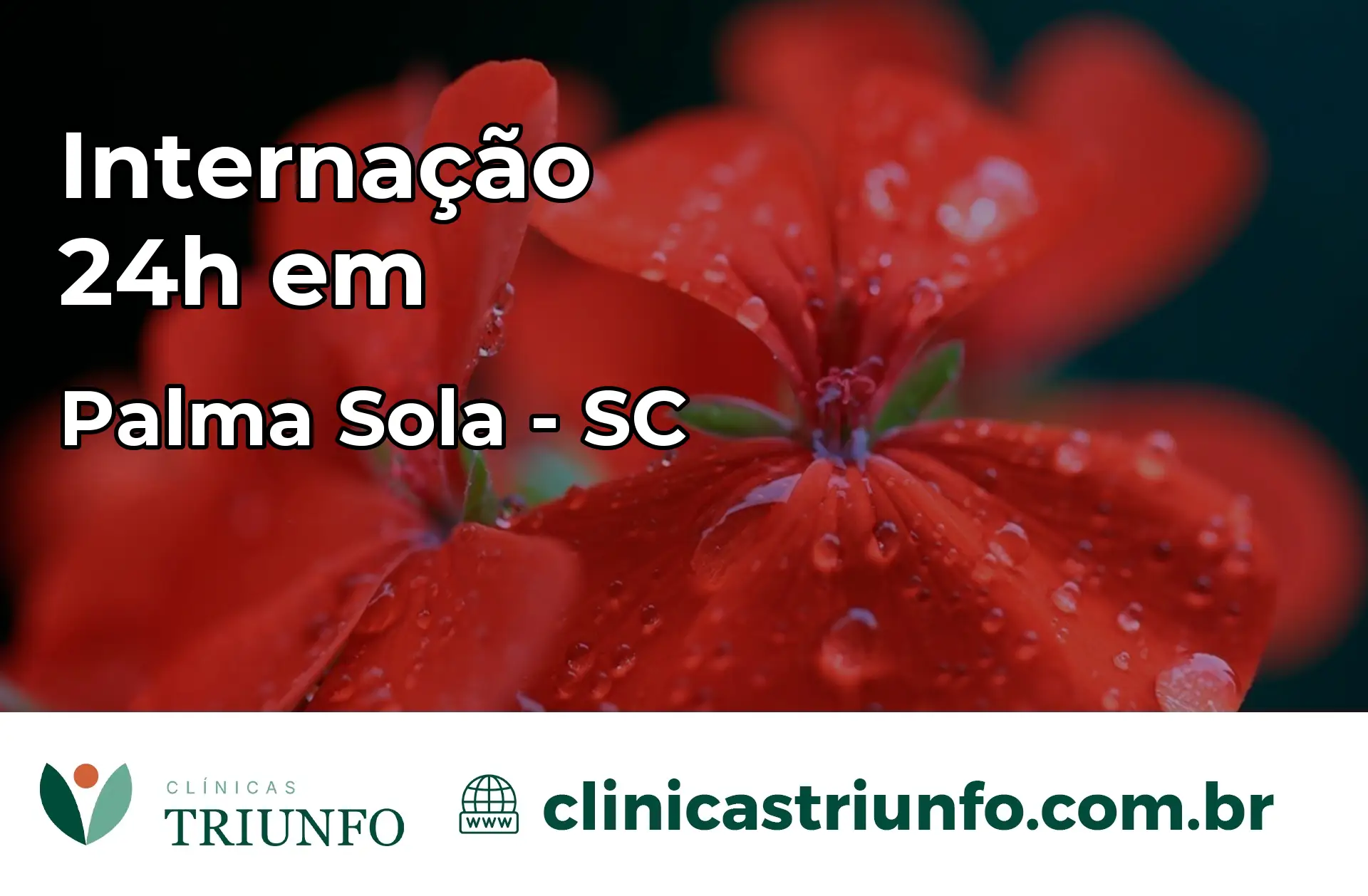 Internação 24 horas em Palma Sola – SC