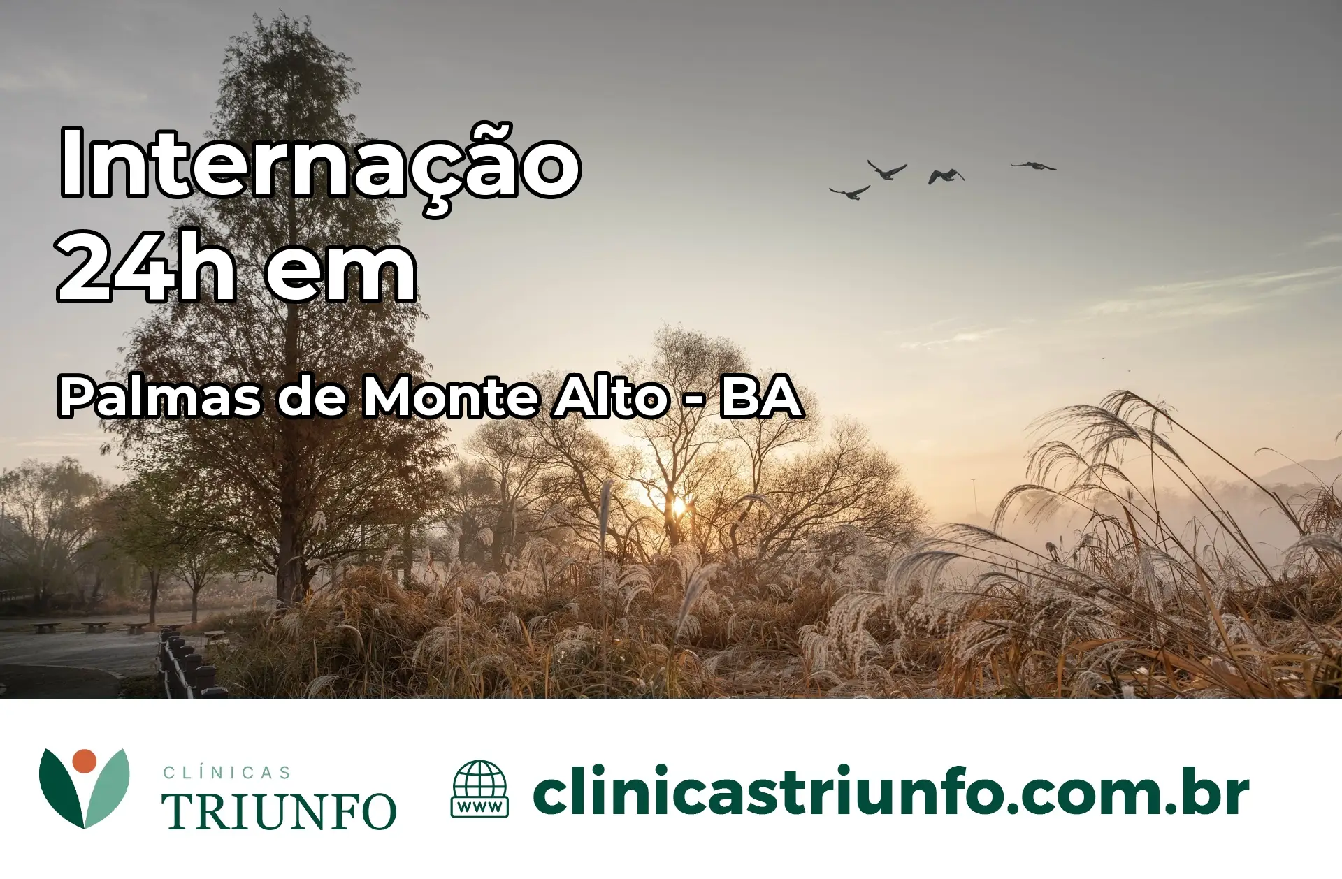 Internação 24 horas em Palmas de Monte Alto – BA