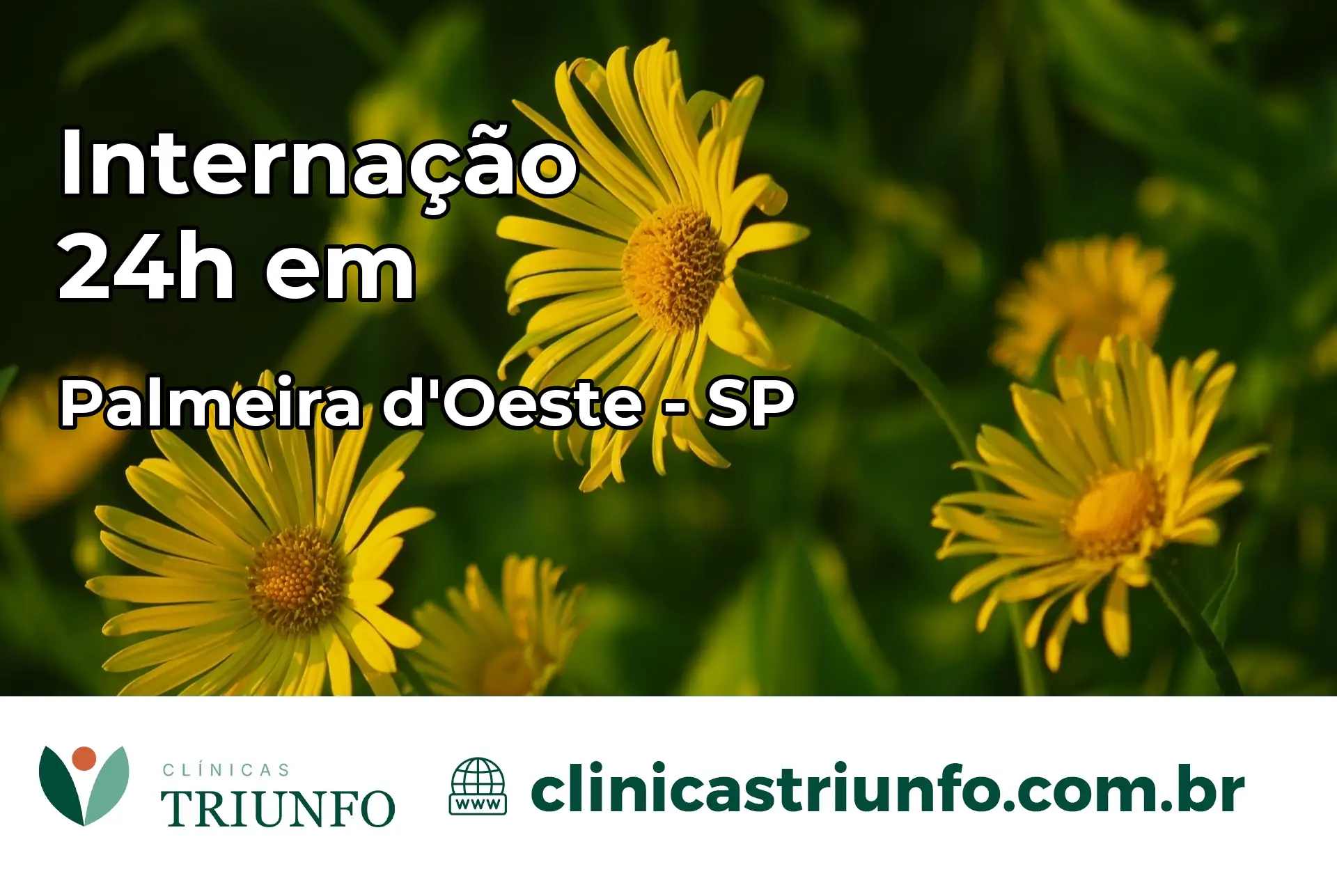 Internação 24 horas em Palmeira d'Oeste – SP