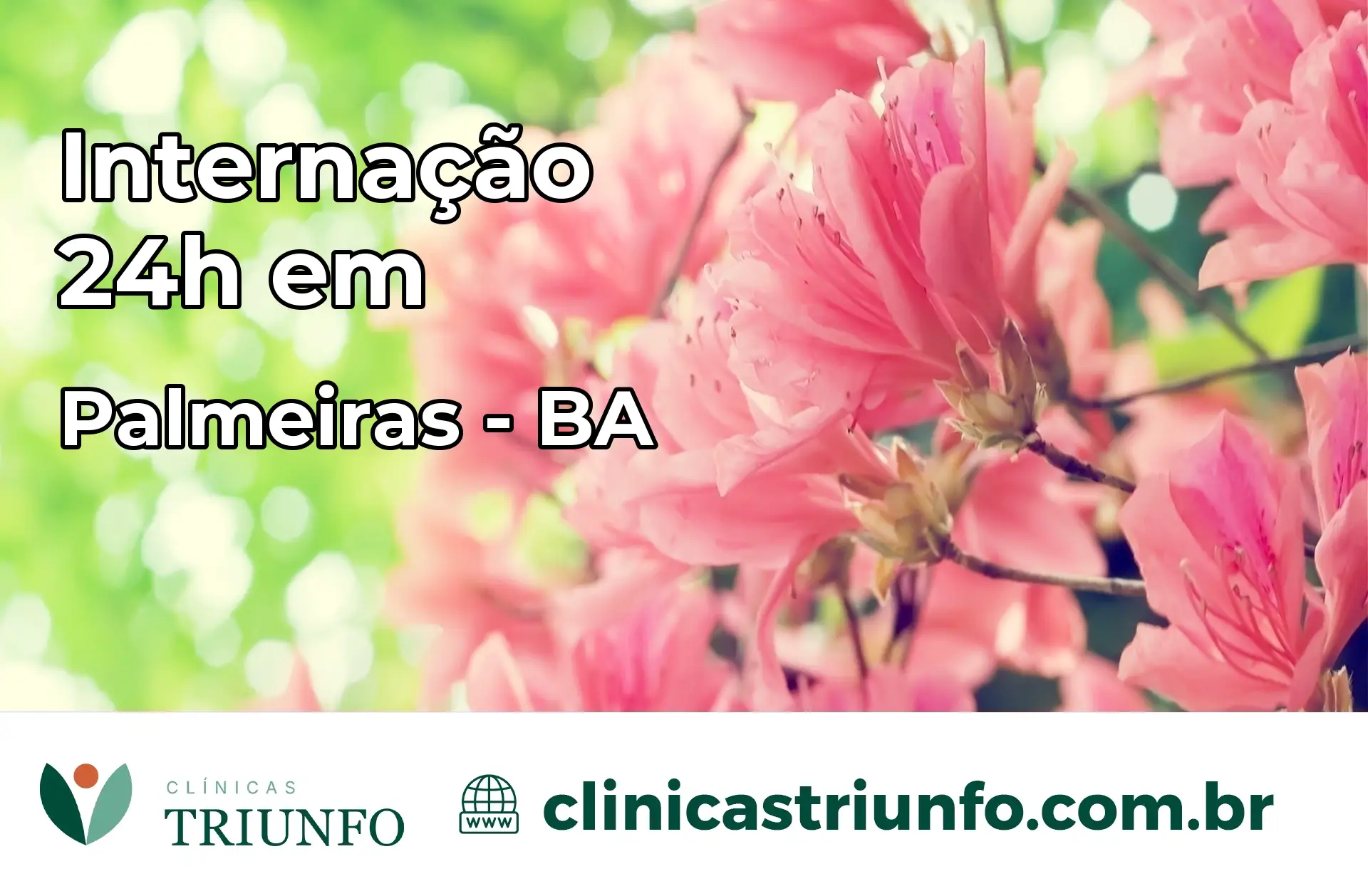 Internação 24 horas em Palmeiras – BA