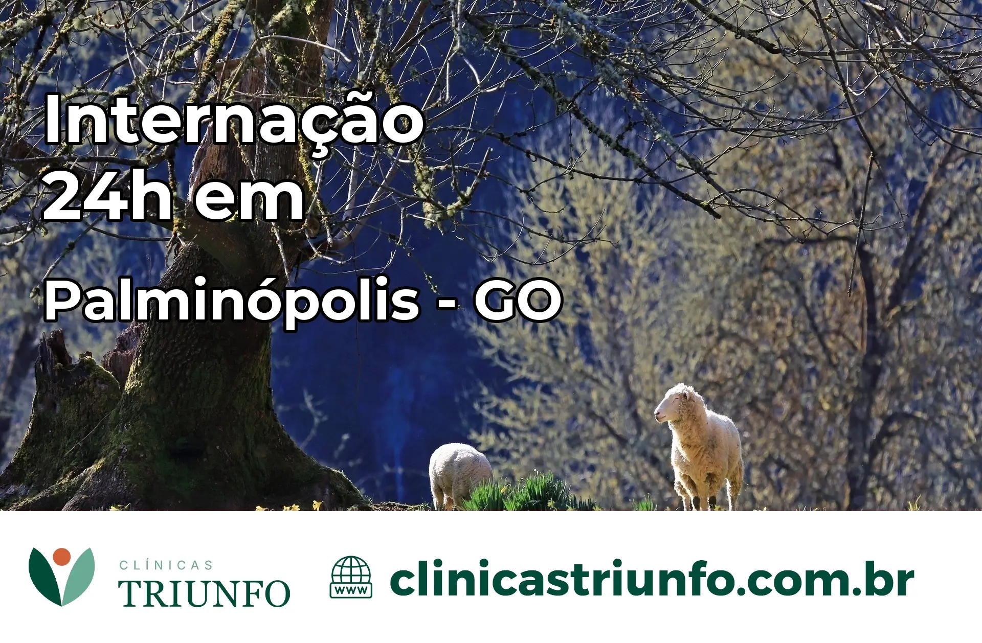 Internação 24 horas em Palminópolis – GO