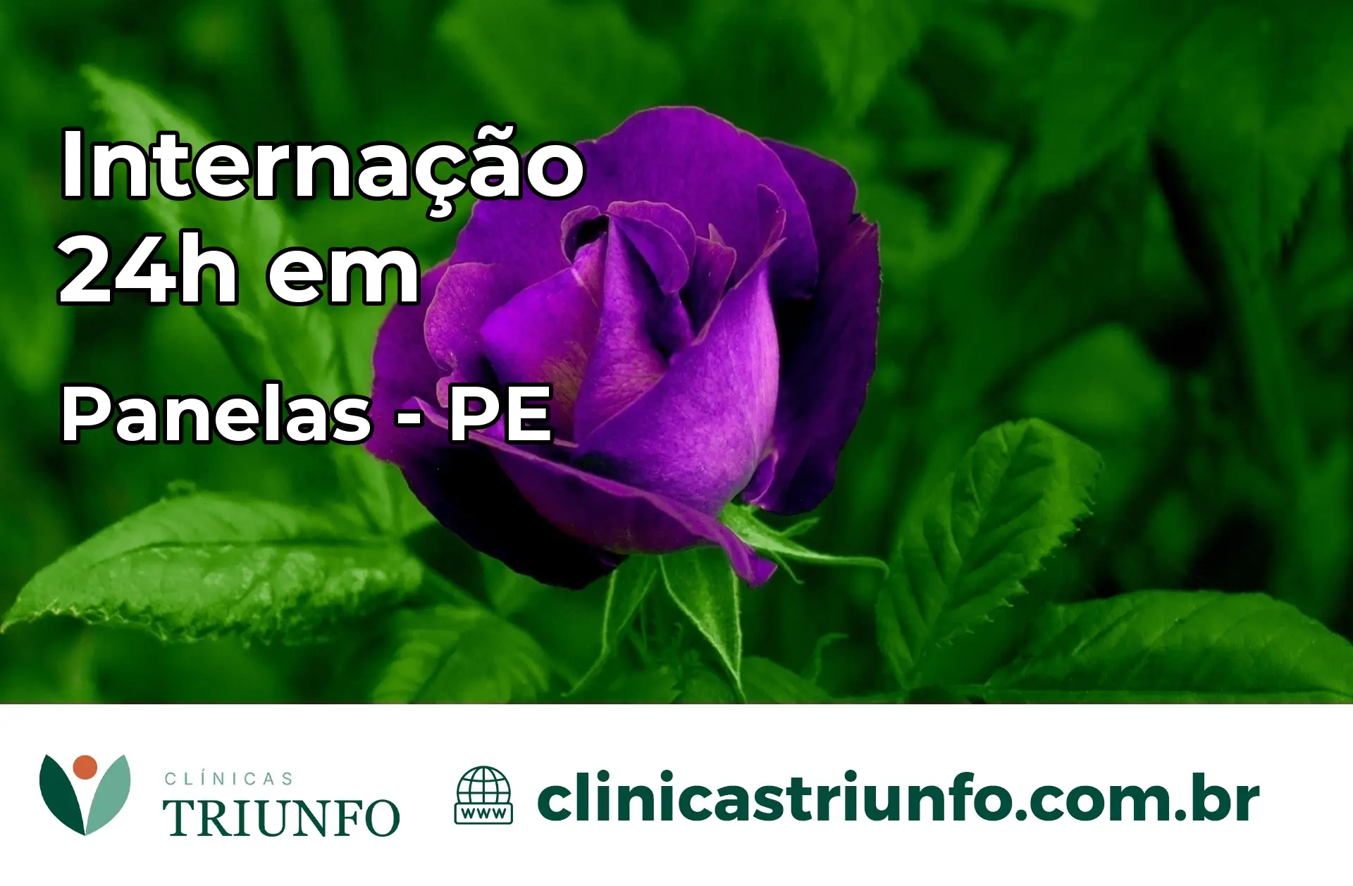 Internação 24 horas em Panelas – PE