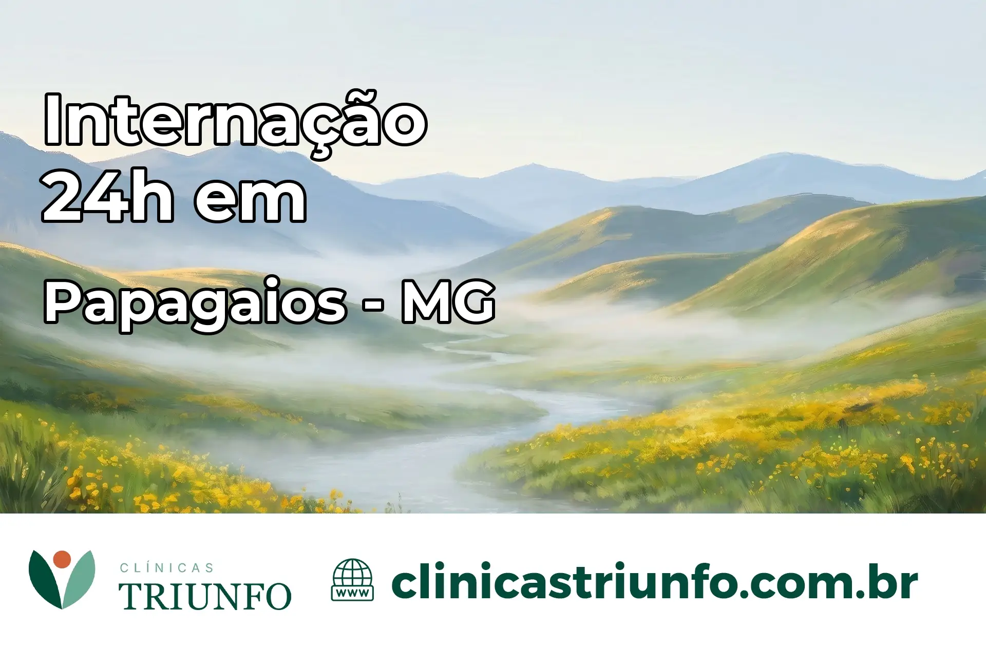 Internação 24 horas em Papagaios – MG
