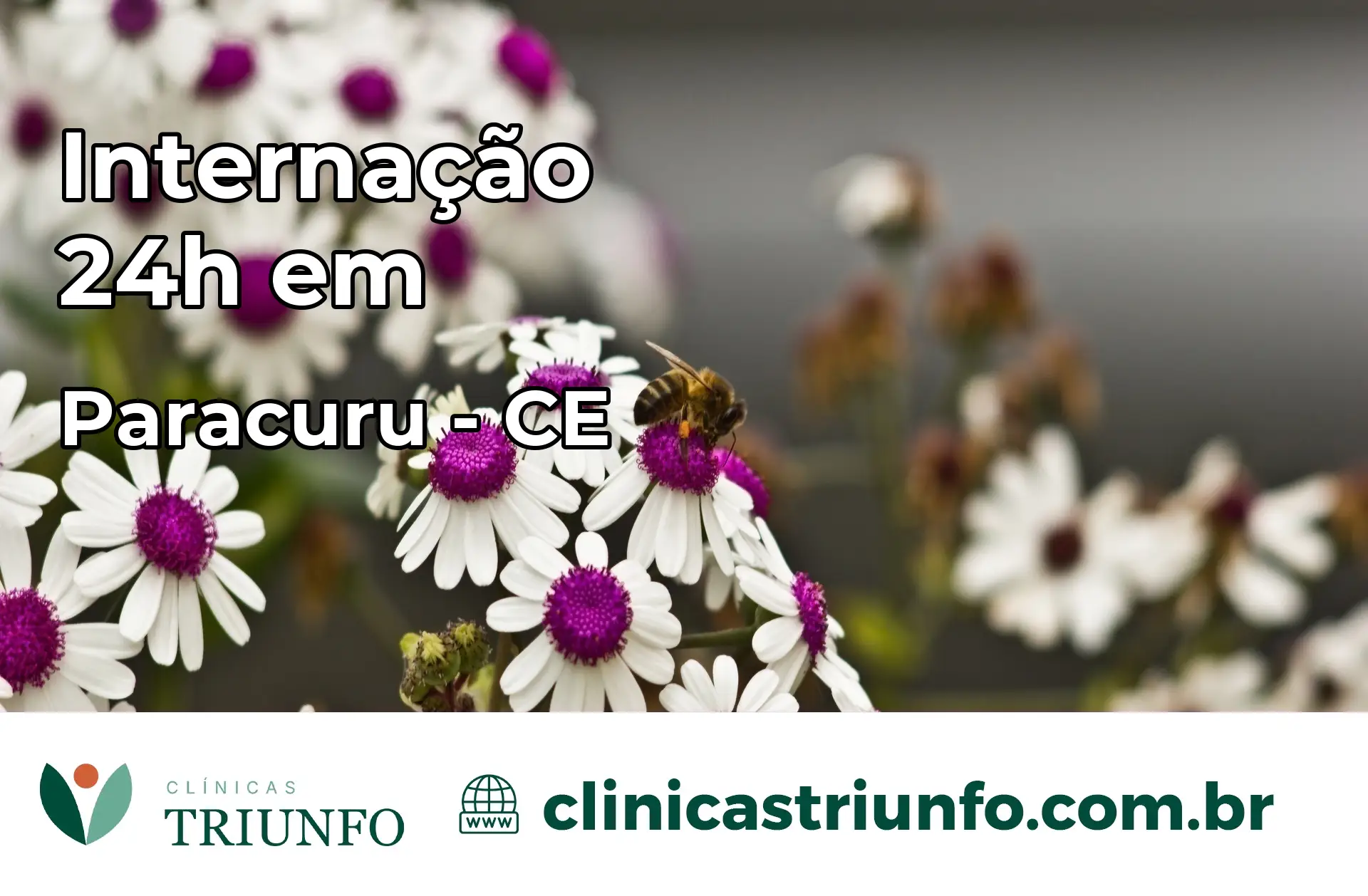 Internação 24 horas em Paracuru – CE