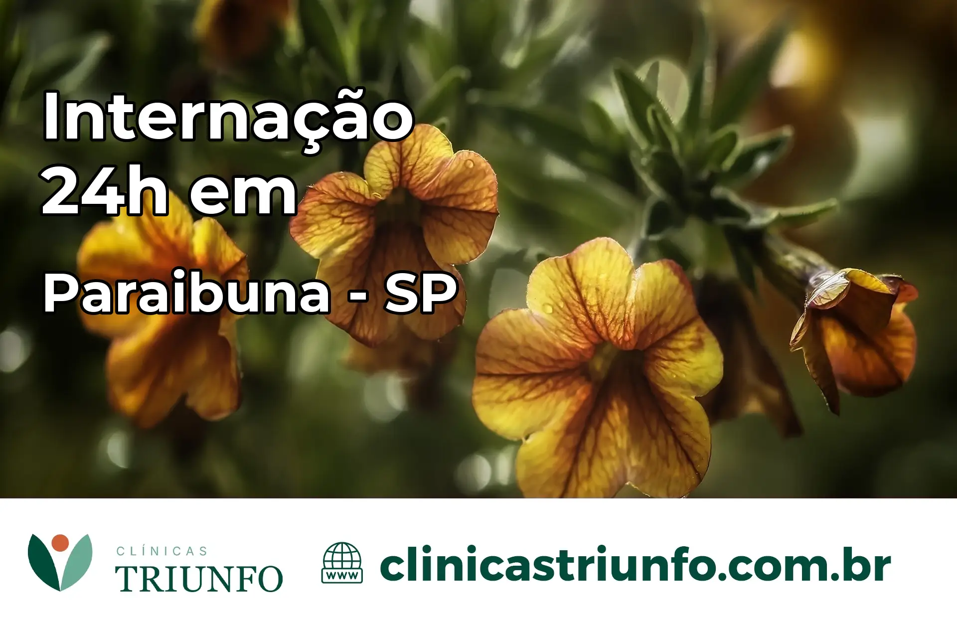 Internação 24 horas em Paraibuna – SP
