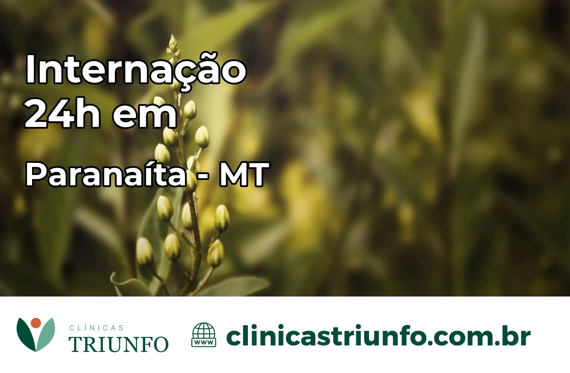 Internação 24 horas em Paranaíta – MT