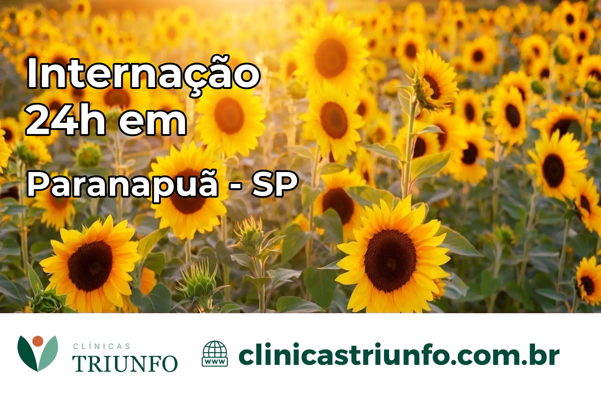 Internação 24 horas em Paranapuã – SP