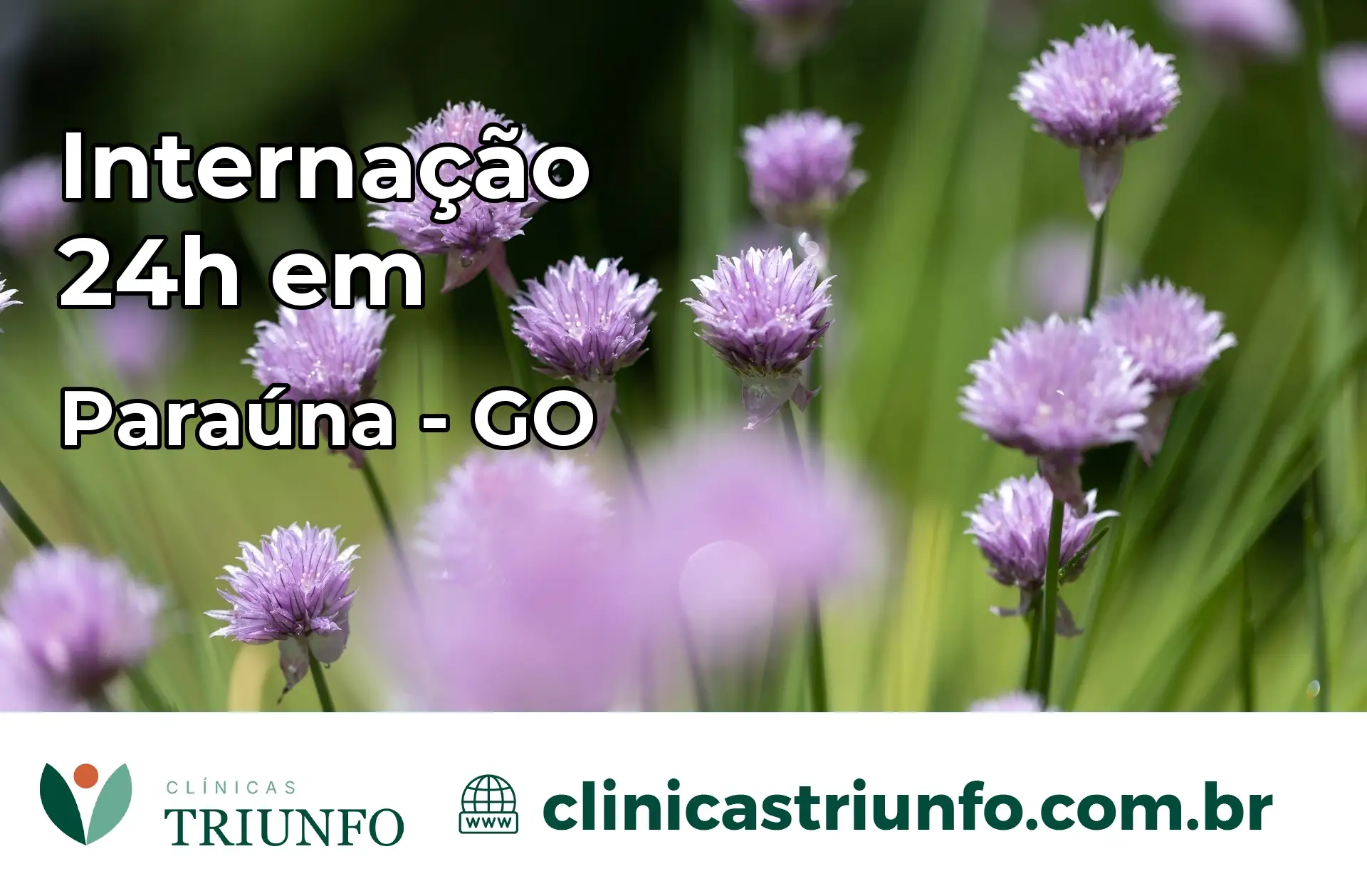 Internação 24 horas em Paraúna – GO