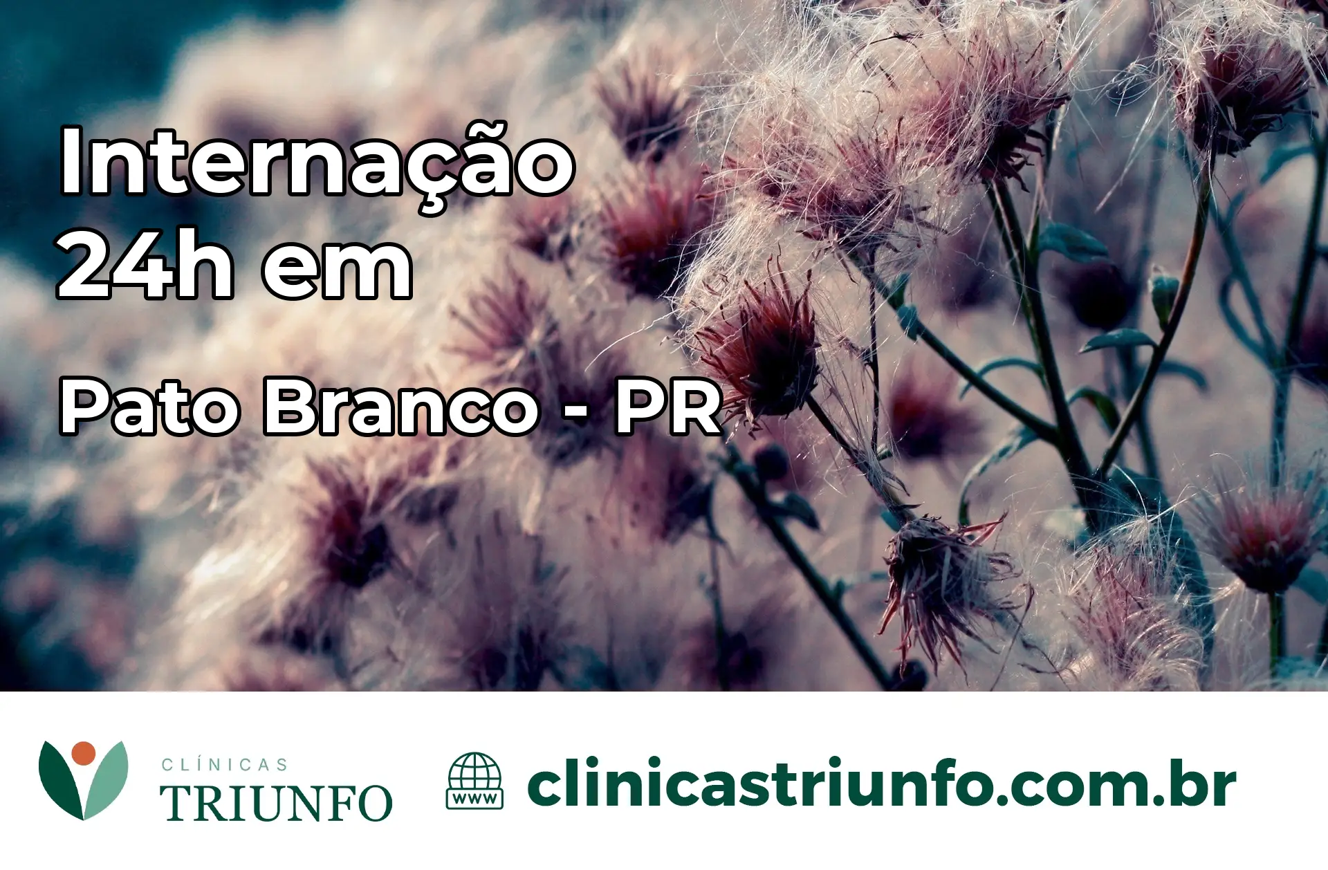Internação 24 horas em Pato Branco – PR