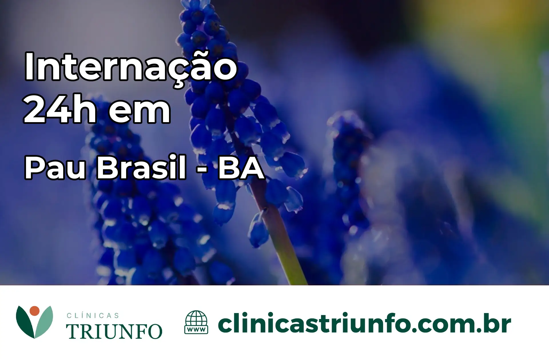 Internação 24 horas em Pau Brasil – BA