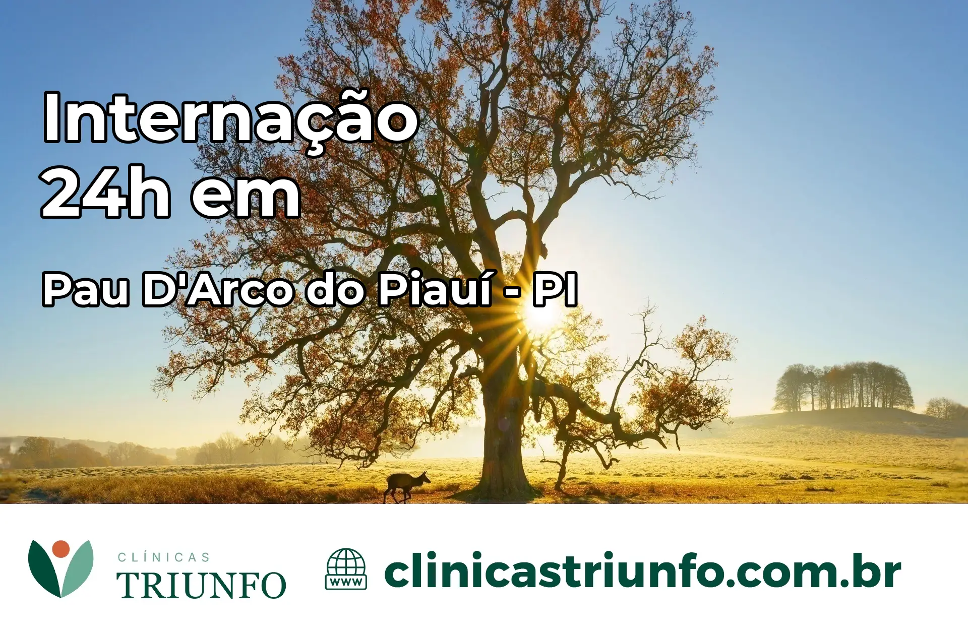 Internação 24 horas em Pau D'Arco do Piauí – PI