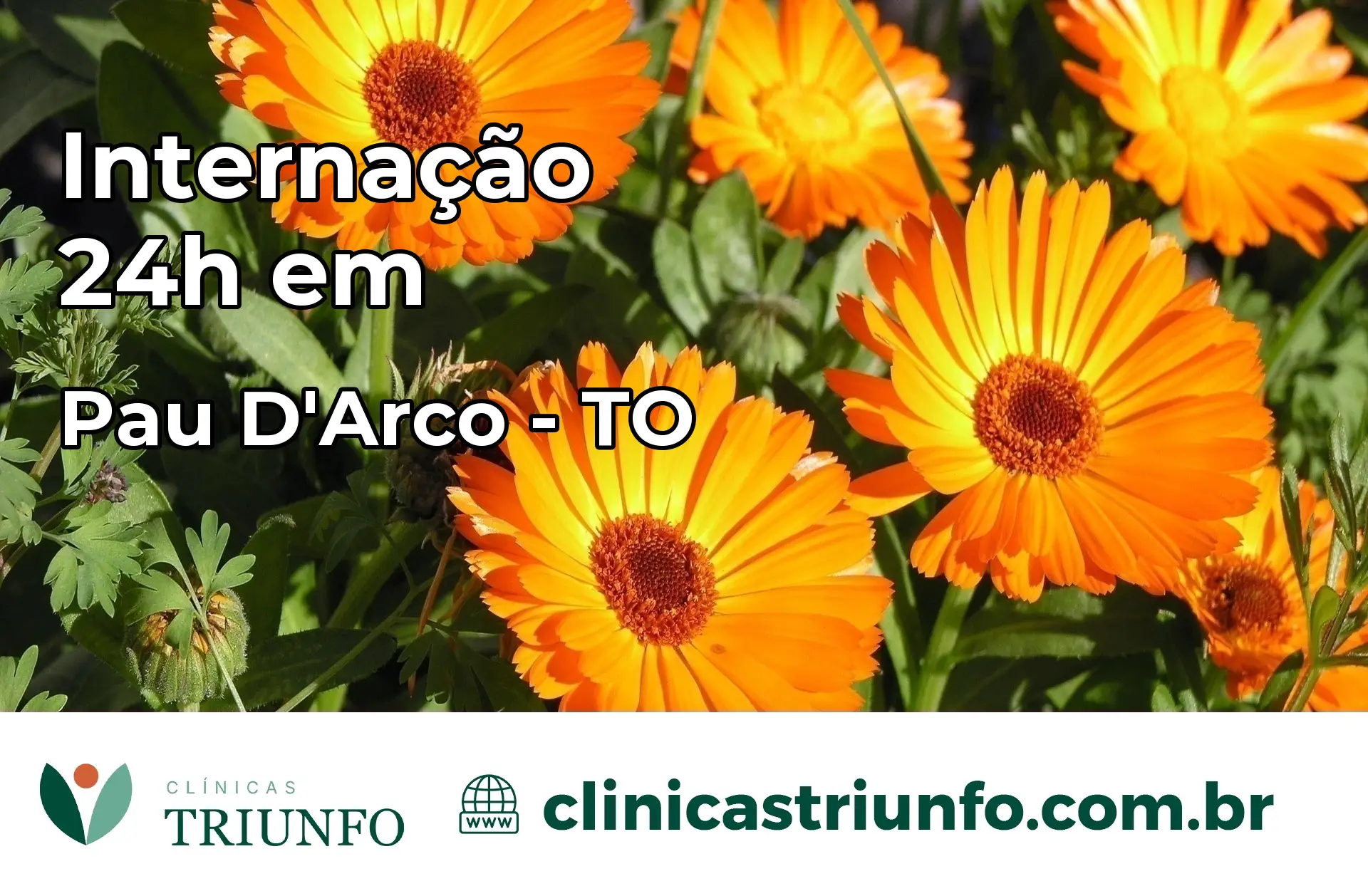 Internação 24 horas em Pau D'Arco – TO