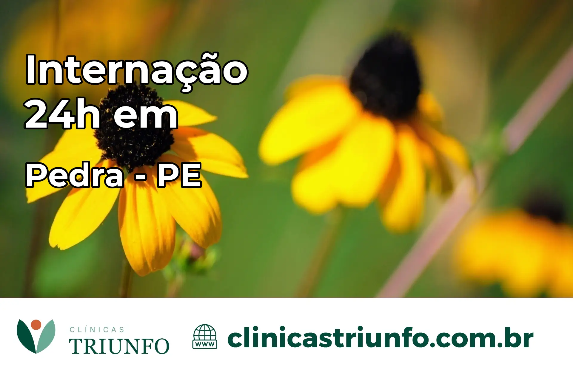 Internação 24 horas em Pedra – PE