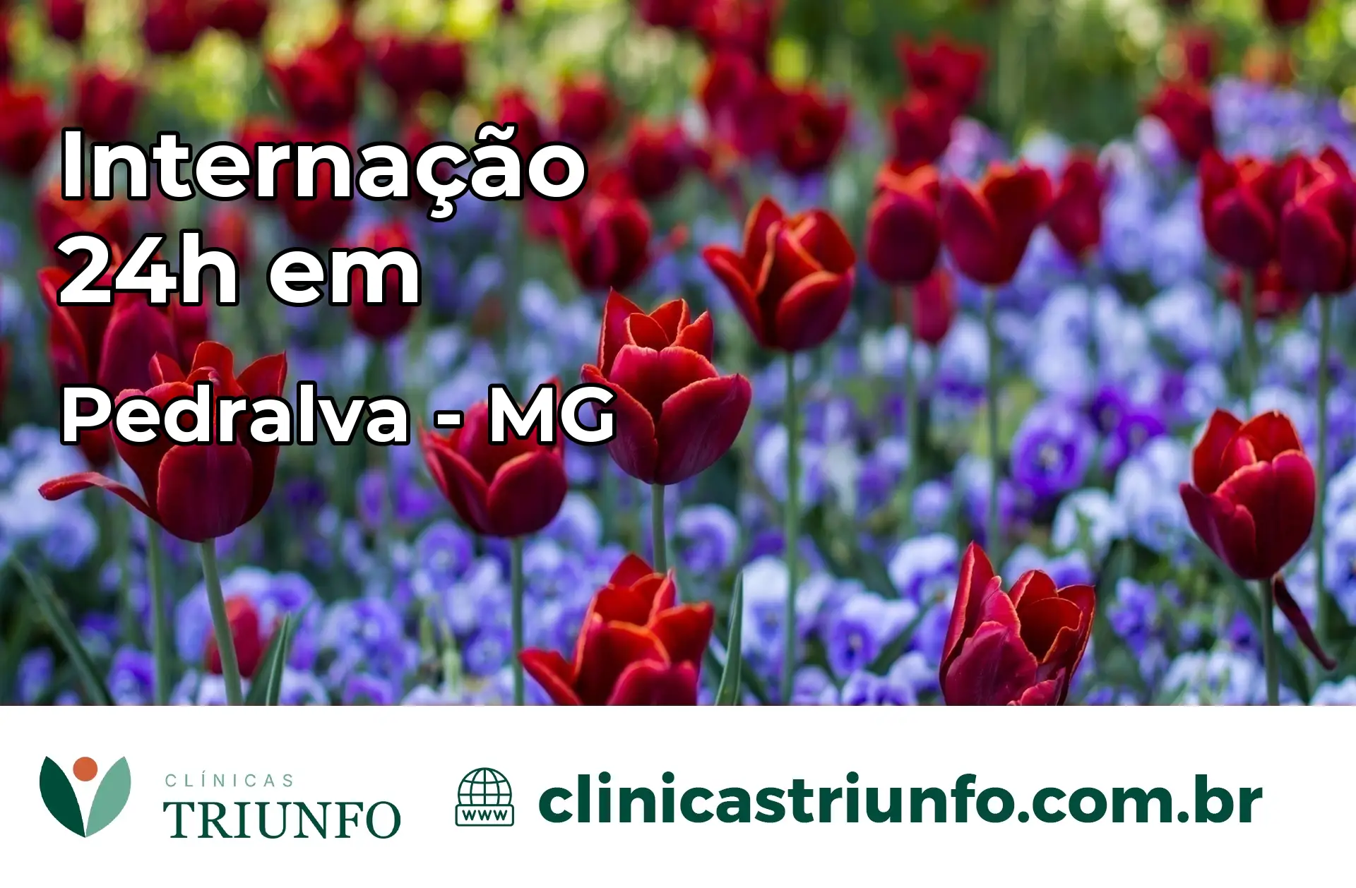 Internação 24 horas em Pedralva – MG