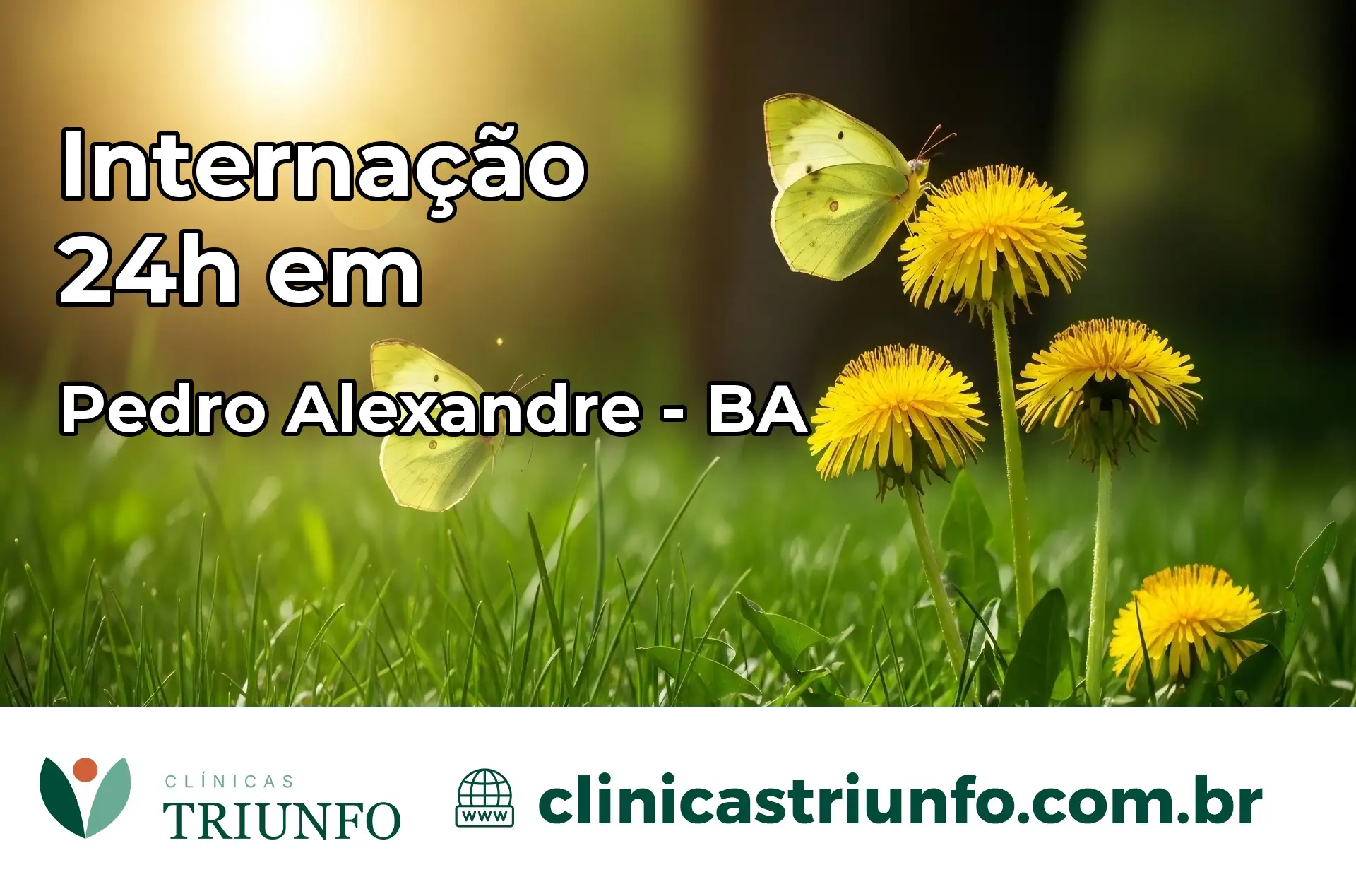 Internação 24 horas em Pedro Alexandre – BA