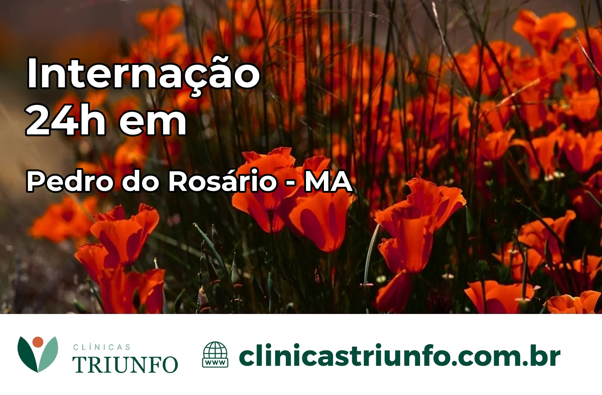 Internação 24 horas em Pedro do Rosário – MA