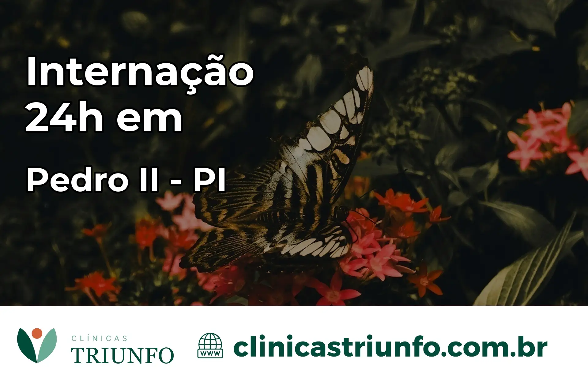 Internação 24 horas em Pedro II – PI