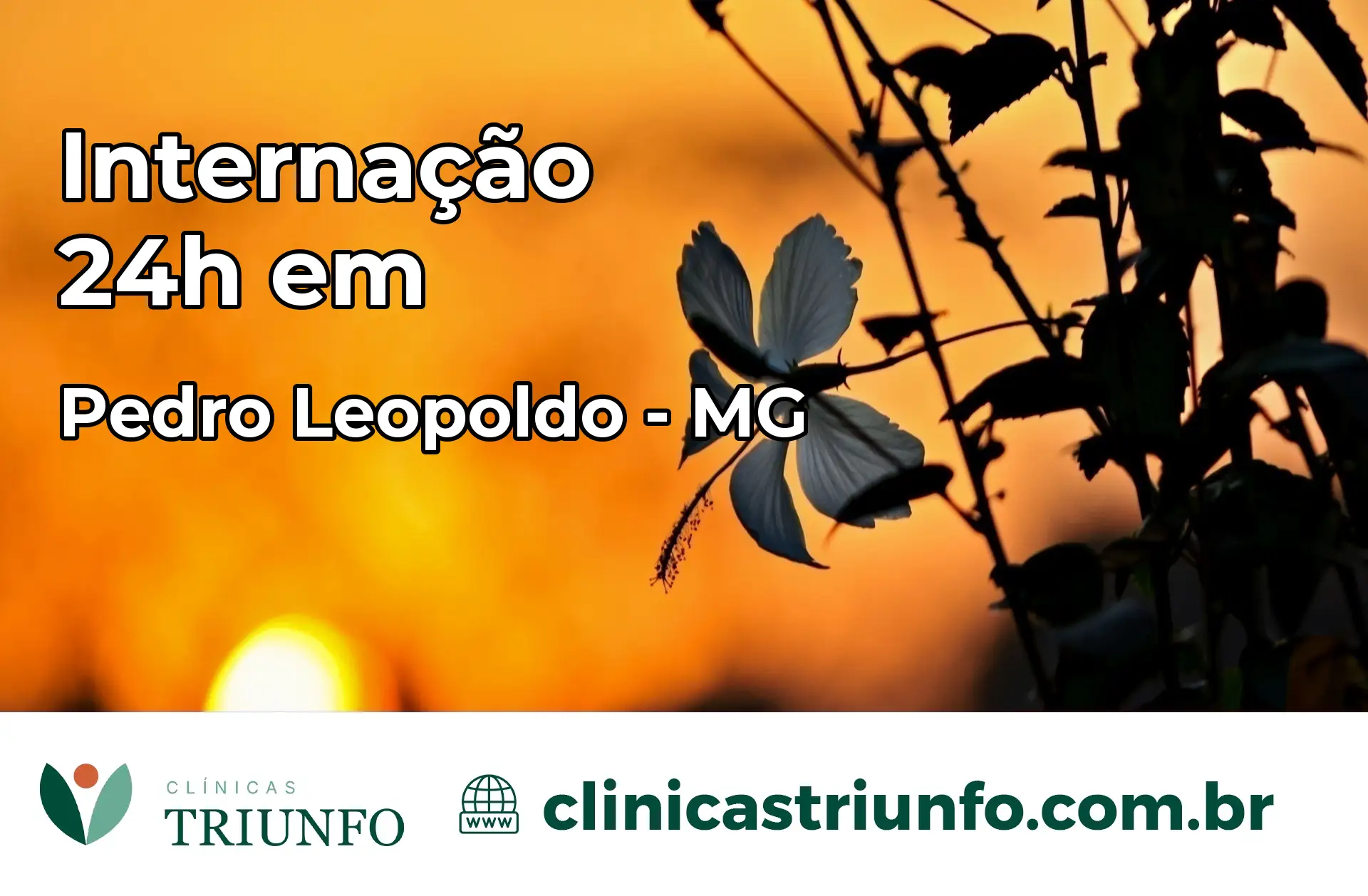 Internação 24 horas em Pedro Leopoldo – MG