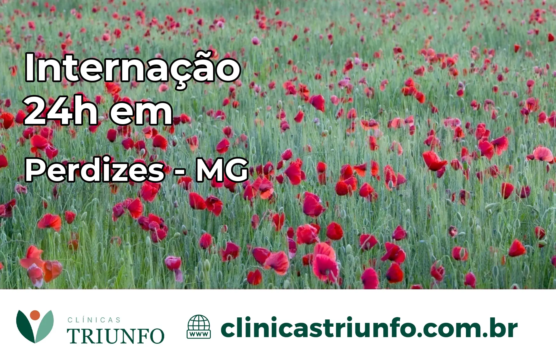 Internação 24 horas em Perdizes – MG