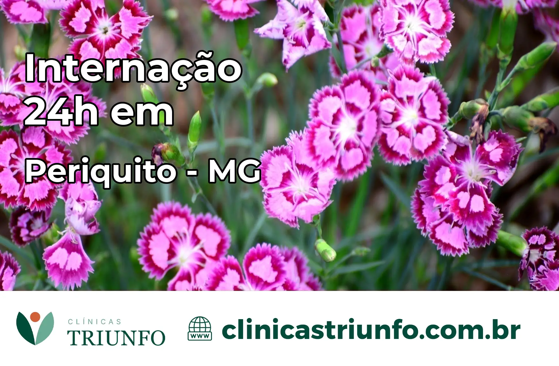 Internação 24 horas em Periquito – MG