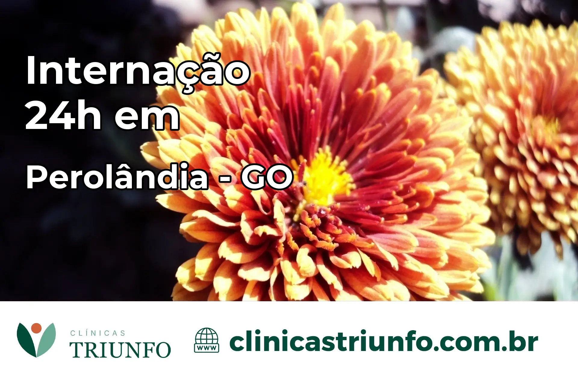 Internação 24 horas em Perolândia – GO
