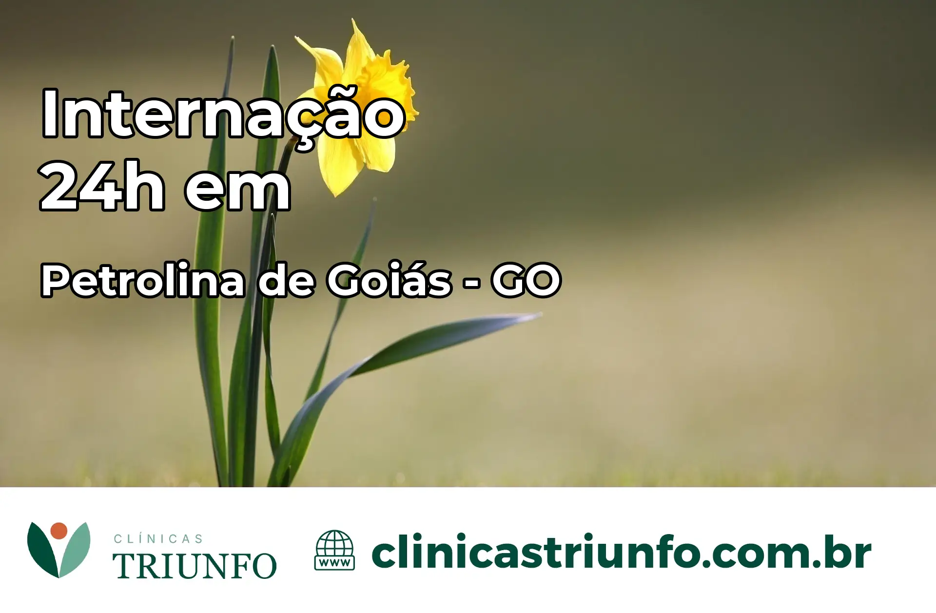 Internação 24 horas em Petrolina de Goiás – GO