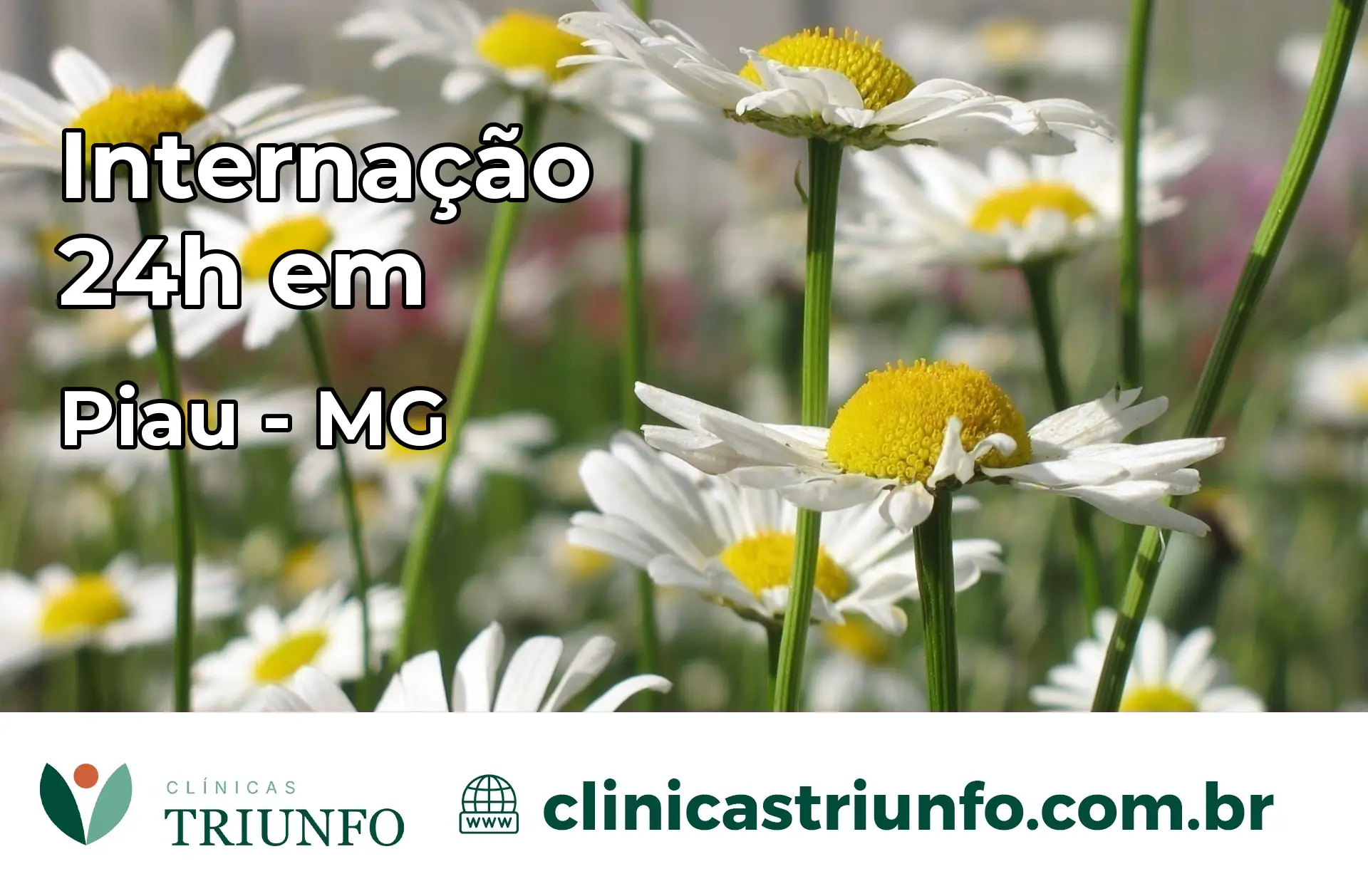 Internação 24 horas em Piau – MG