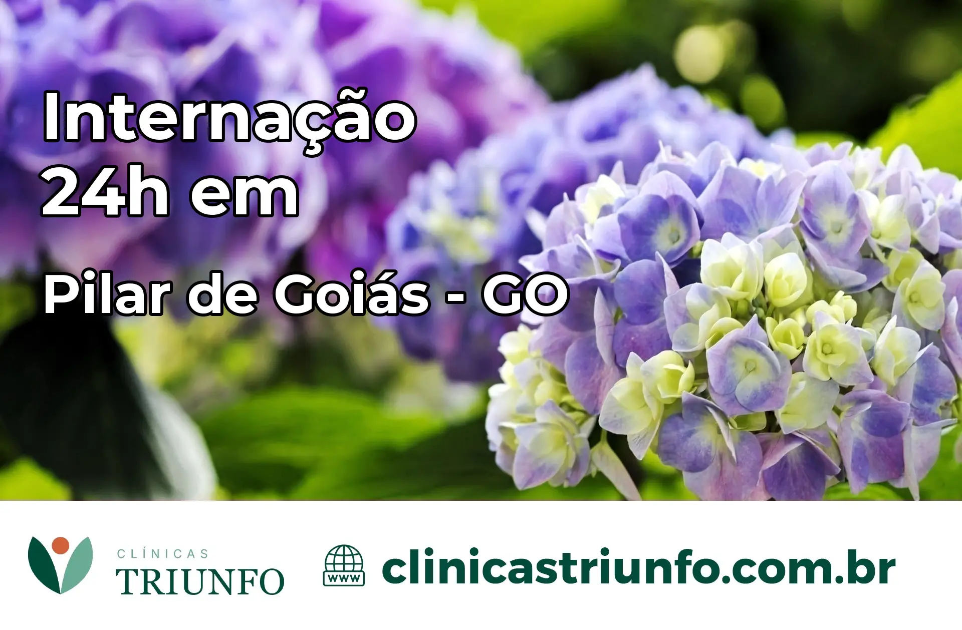 Internação 24 horas em Pilar de Goiás – GO