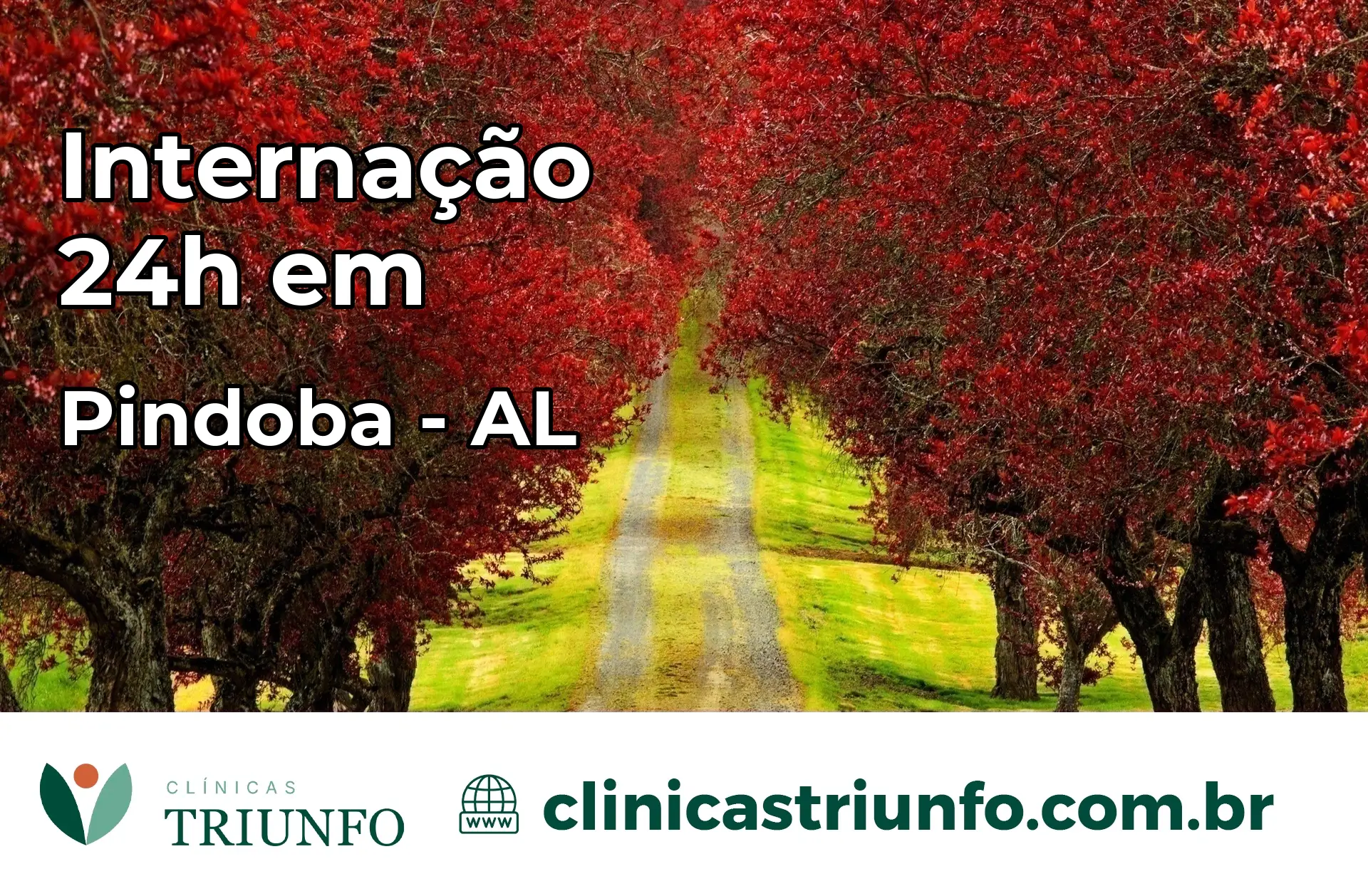 Internação 24 horas em Pindoba – AL