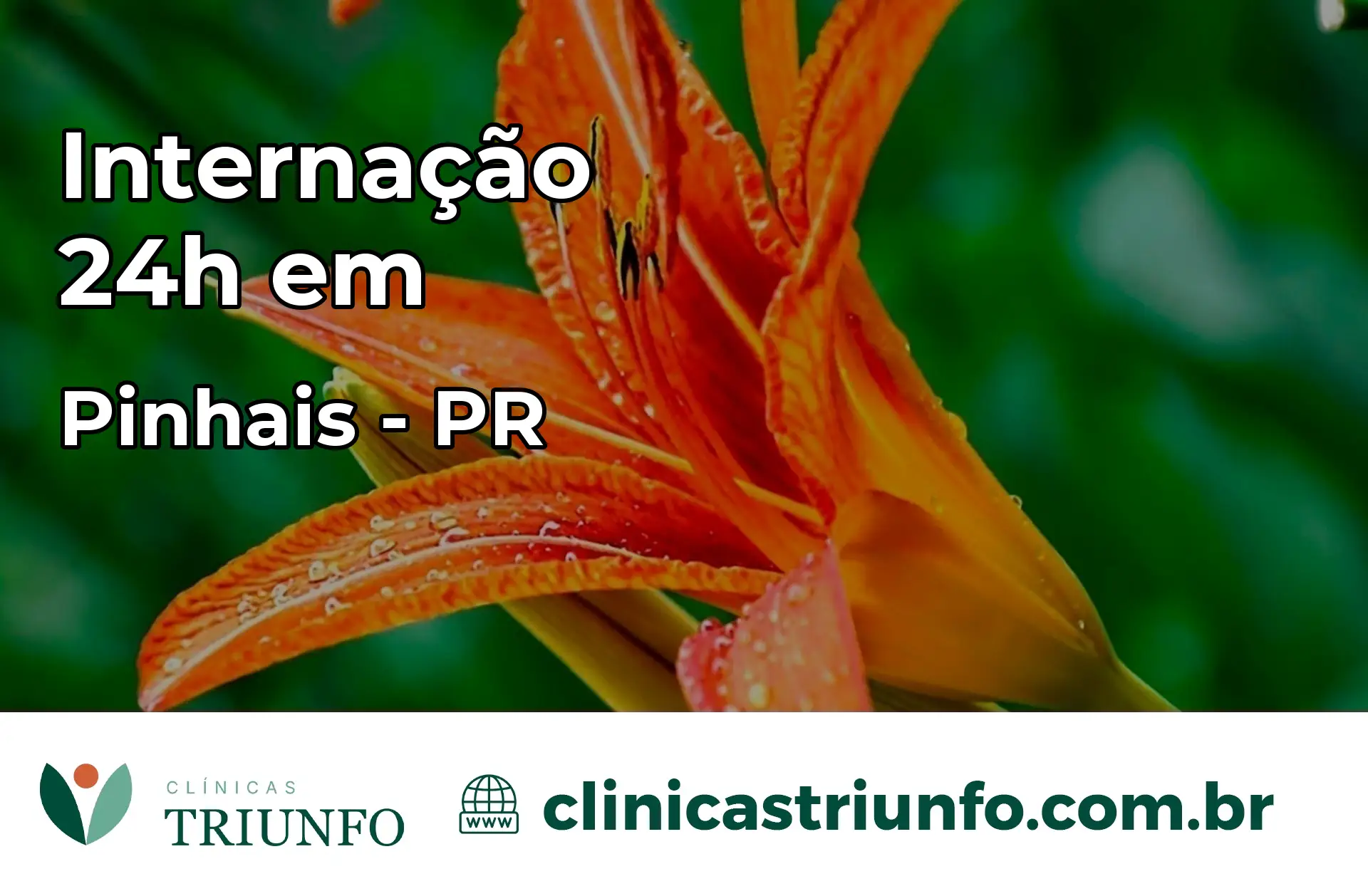 Internação 24 horas em Pinhais – PR