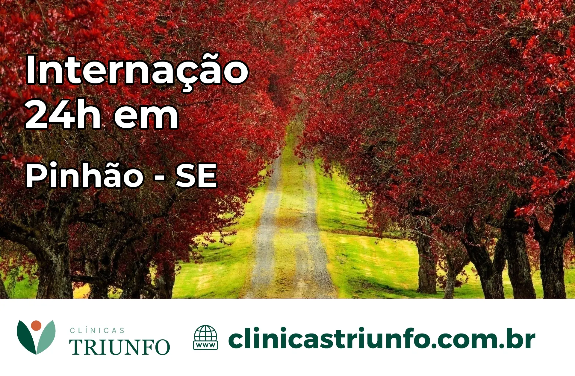 Internação 24 horas em Pinhão – SE