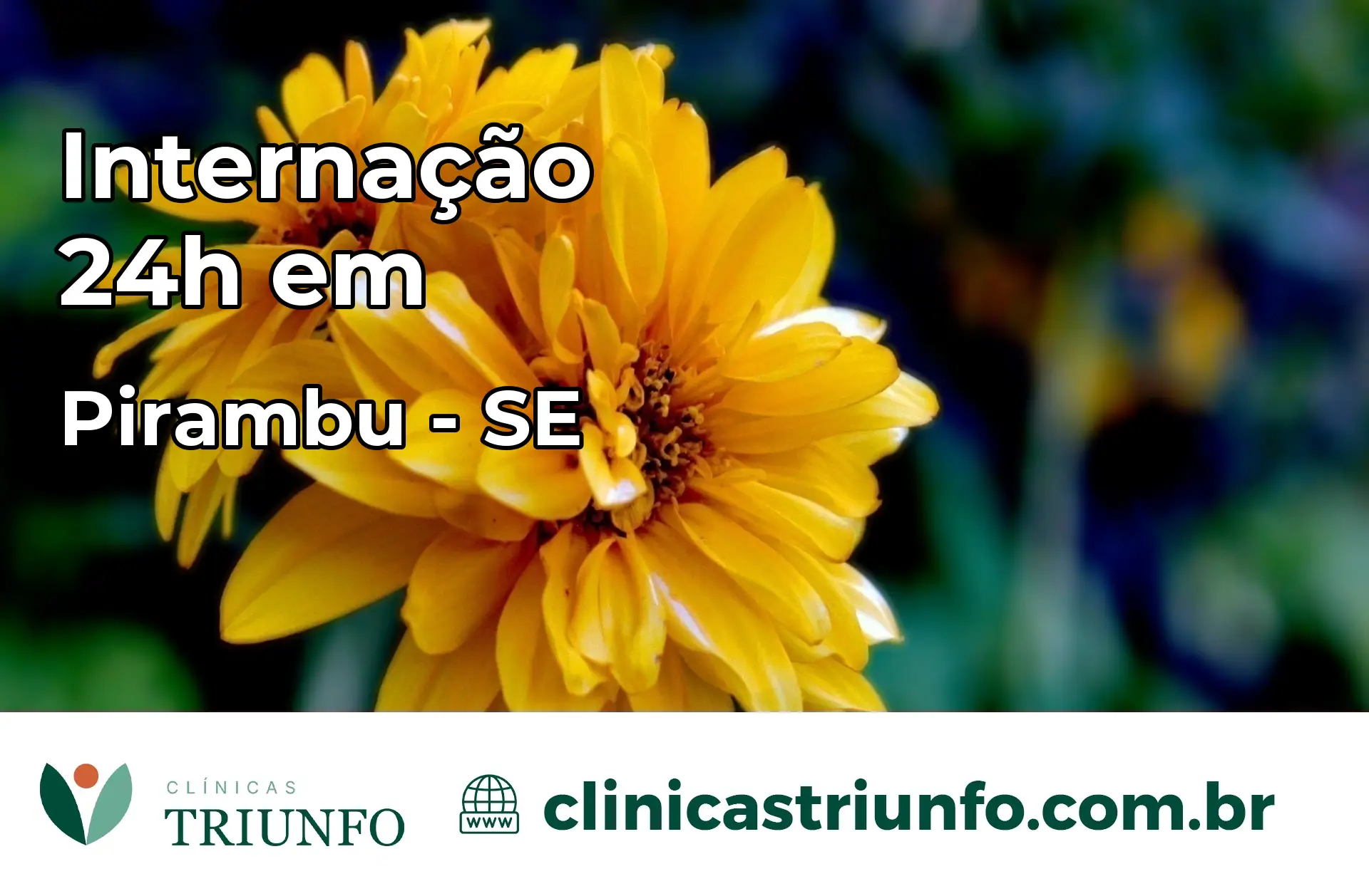 Internação 24 horas em Pirambu – SE