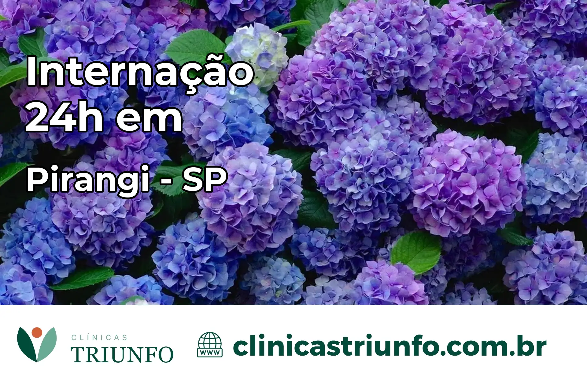 Internação 24 horas em Pirangi – SP