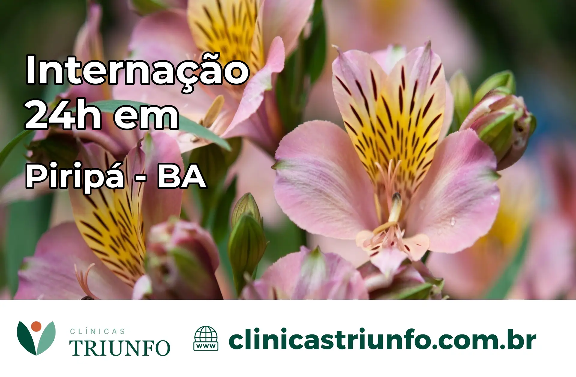 Internação 24 horas em Piripá – BA