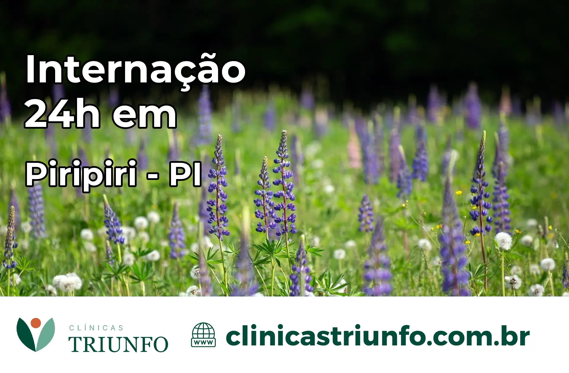 Internação 24 horas em Piripiri – PI