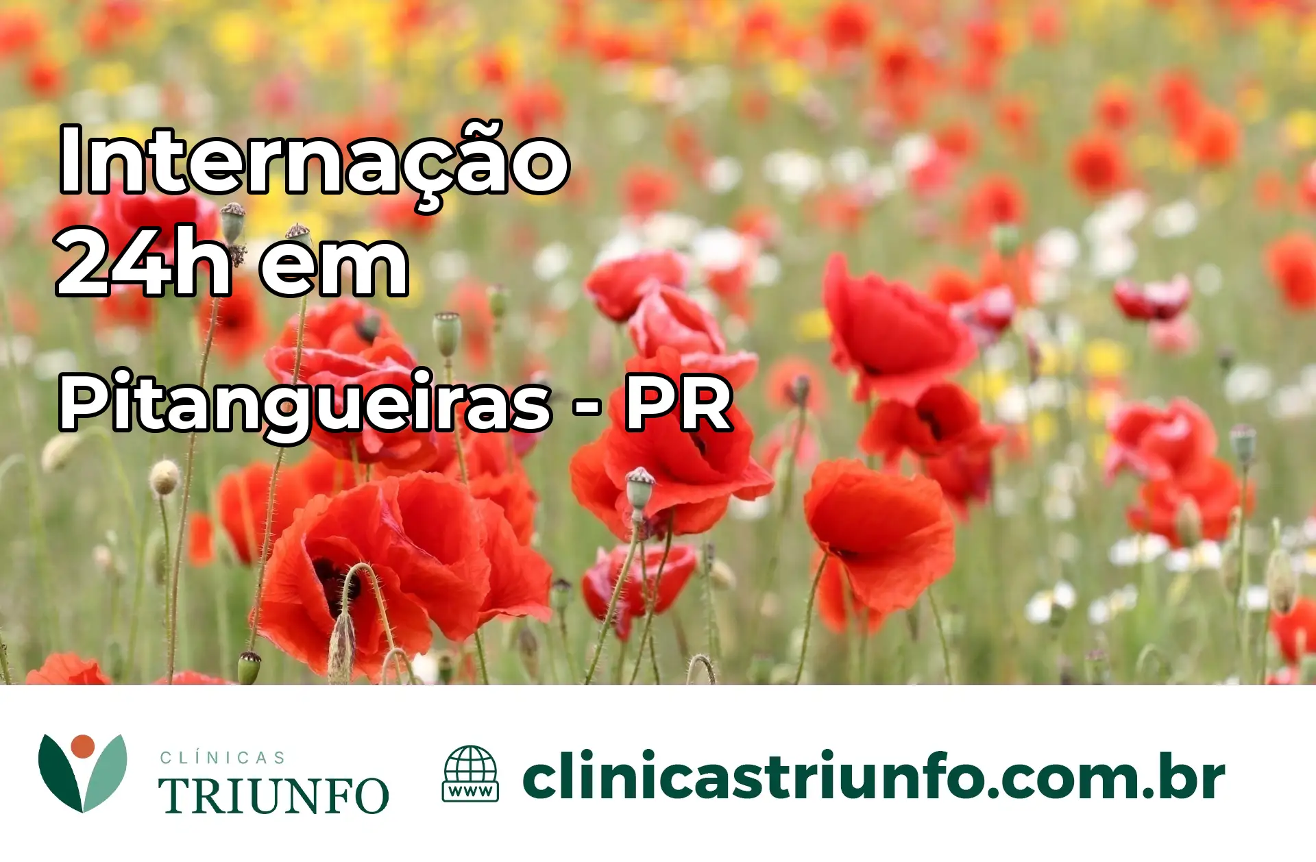 Internação 24 horas em Pitangueiras – PR