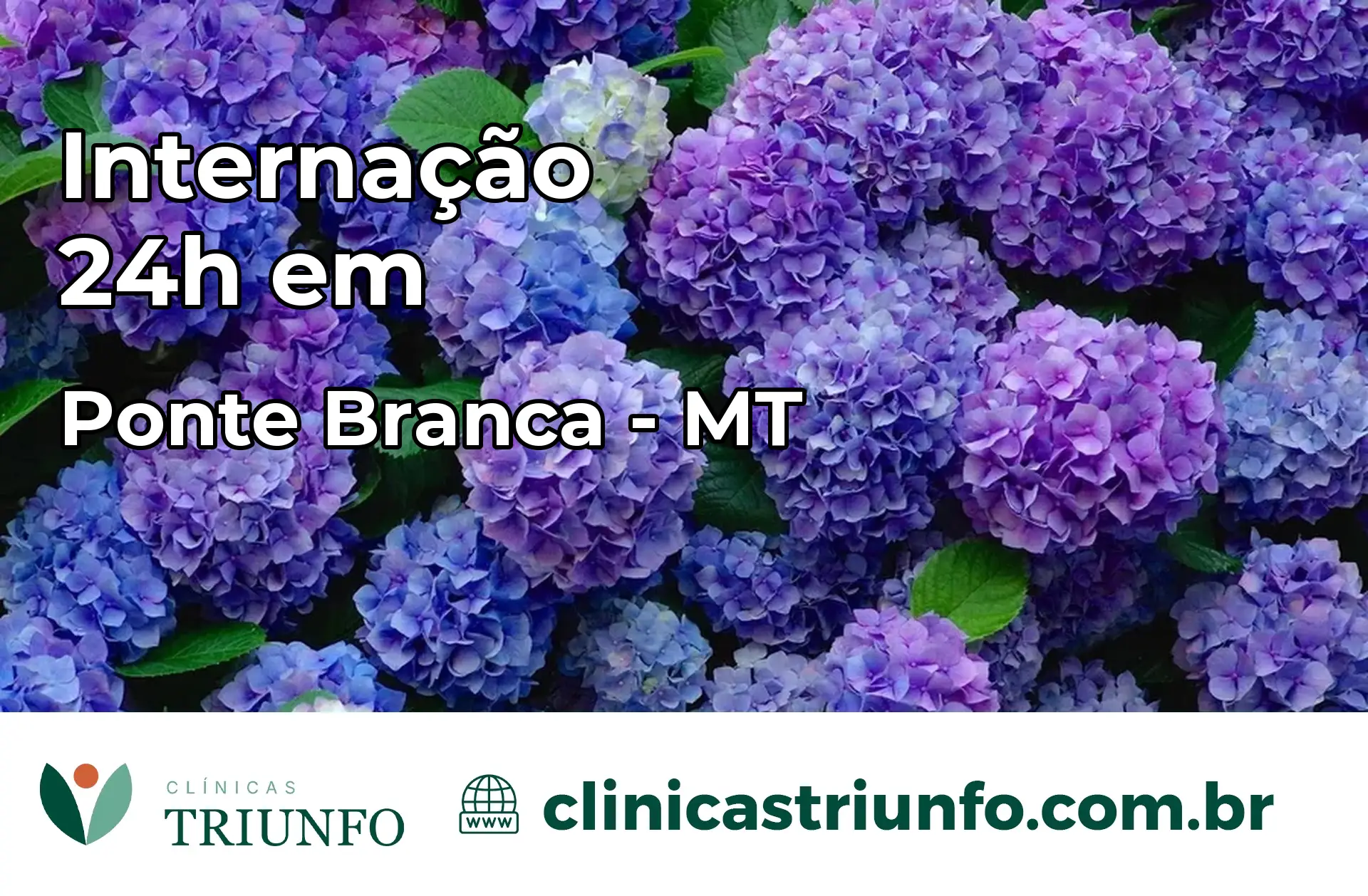 Internação 24 horas em Ponte Branca – MT