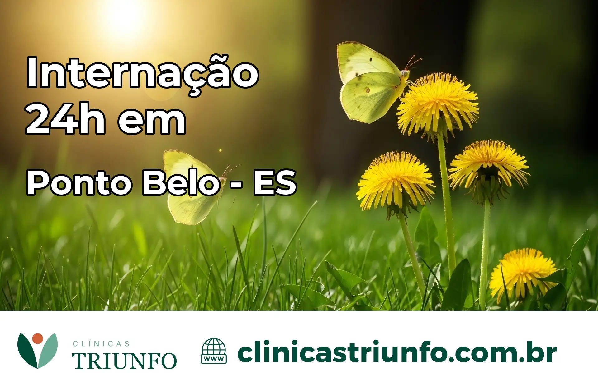 Internação 24 horas em Ponto Belo – ES