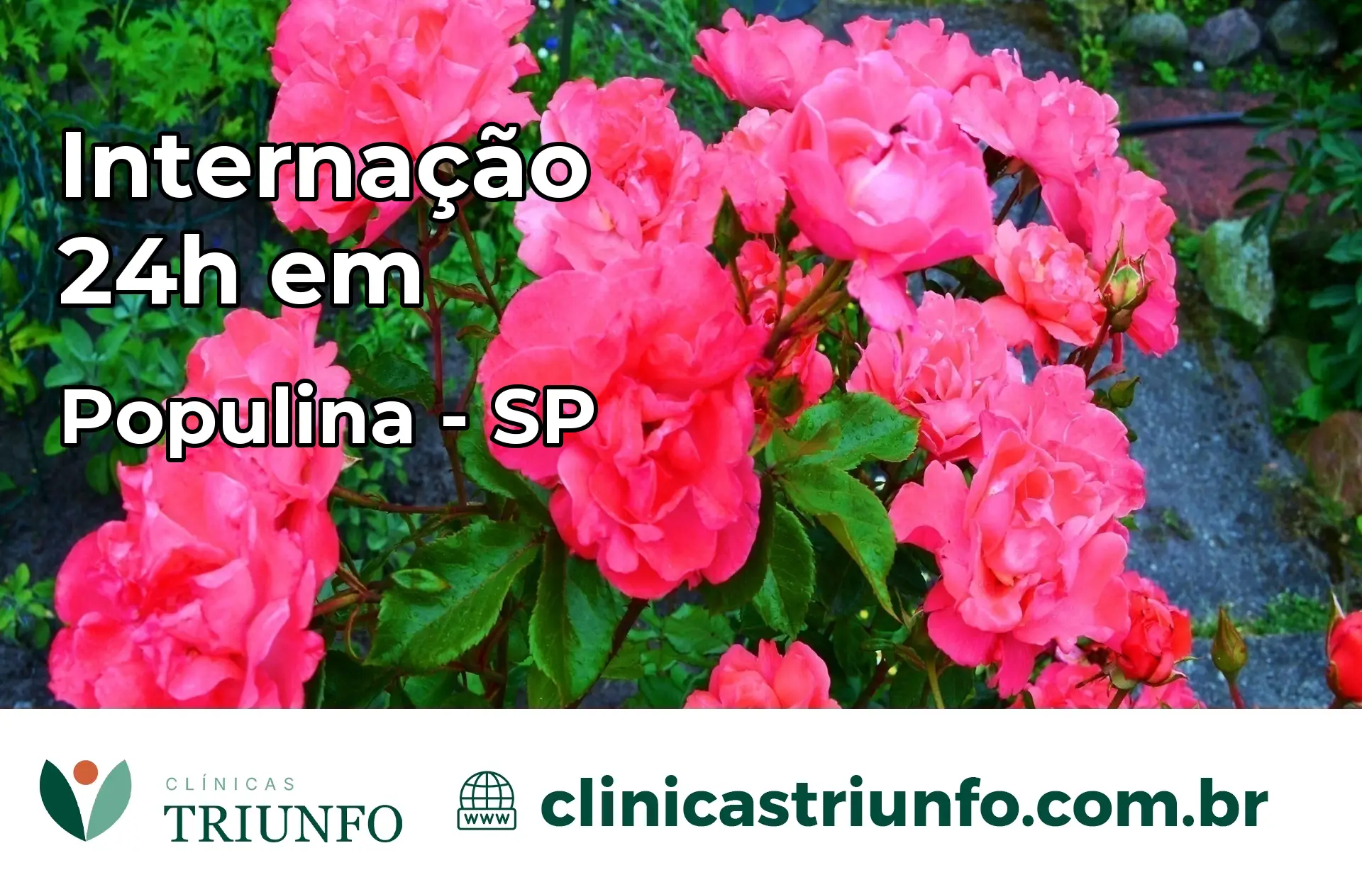 Internação 24 horas em Populina – SP