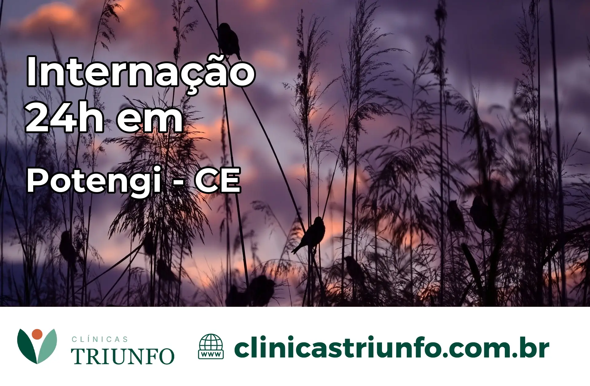 Internação 24 horas em Potengi – CE