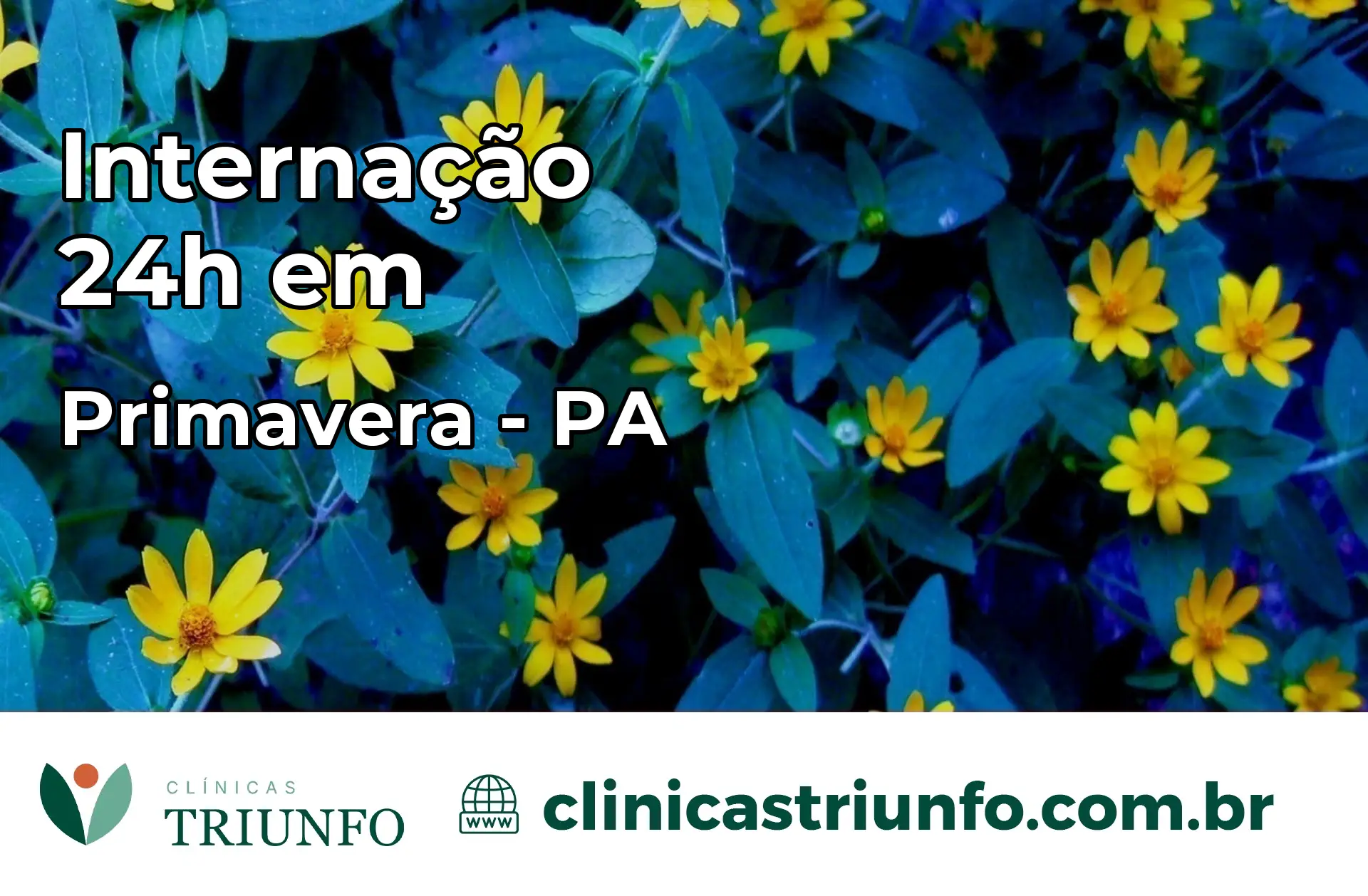 Internação 24 horas em Primavera – PA