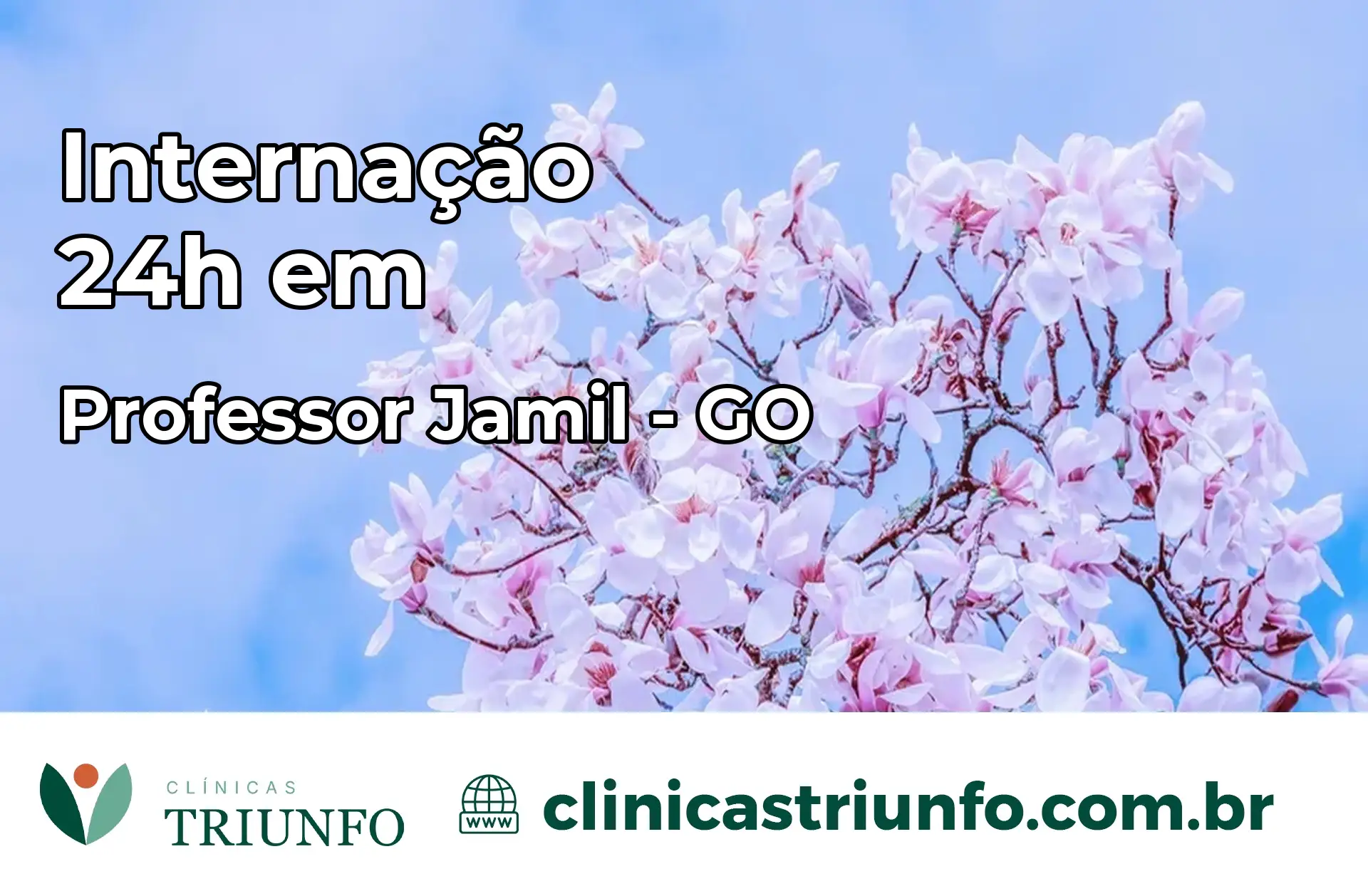 Internação 24 horas em Professor Jamil – GO