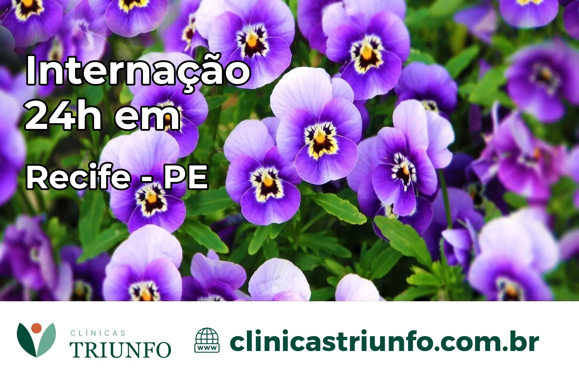 Internação 24 horas em Recife – PE